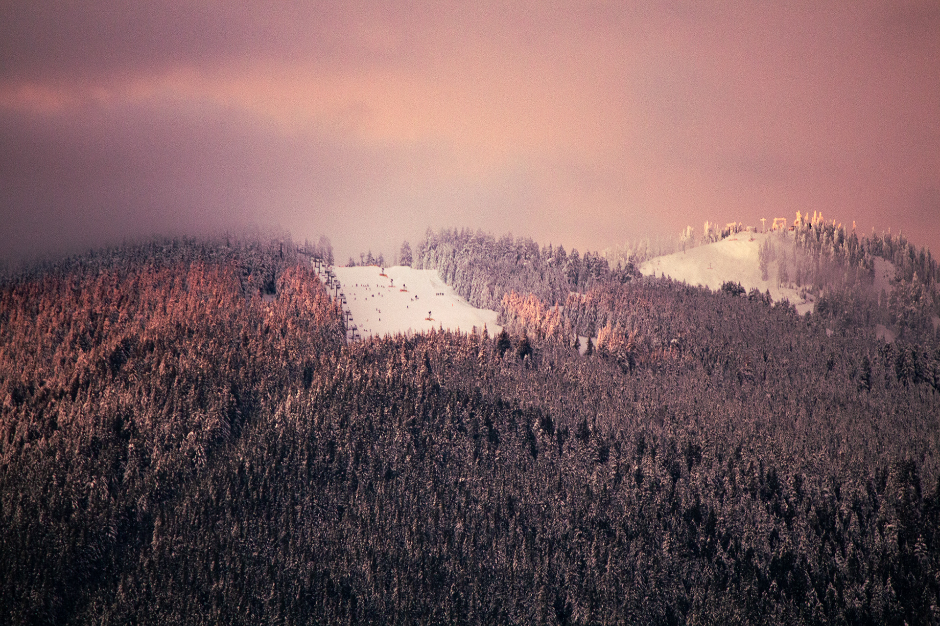 Grouse Mountain, 2021