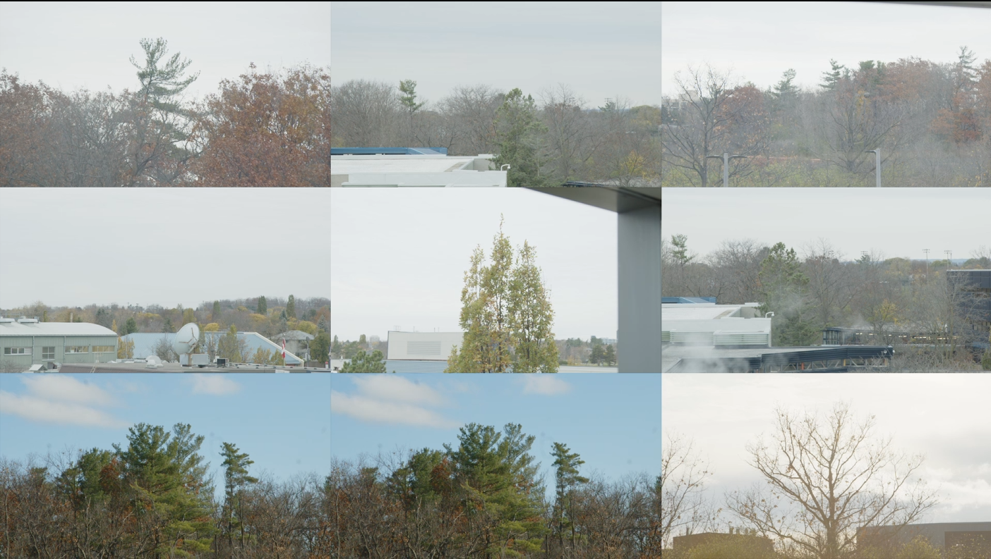 Various Tree plates