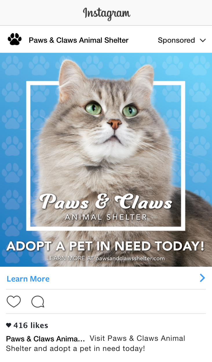 Instagram Advertisement
