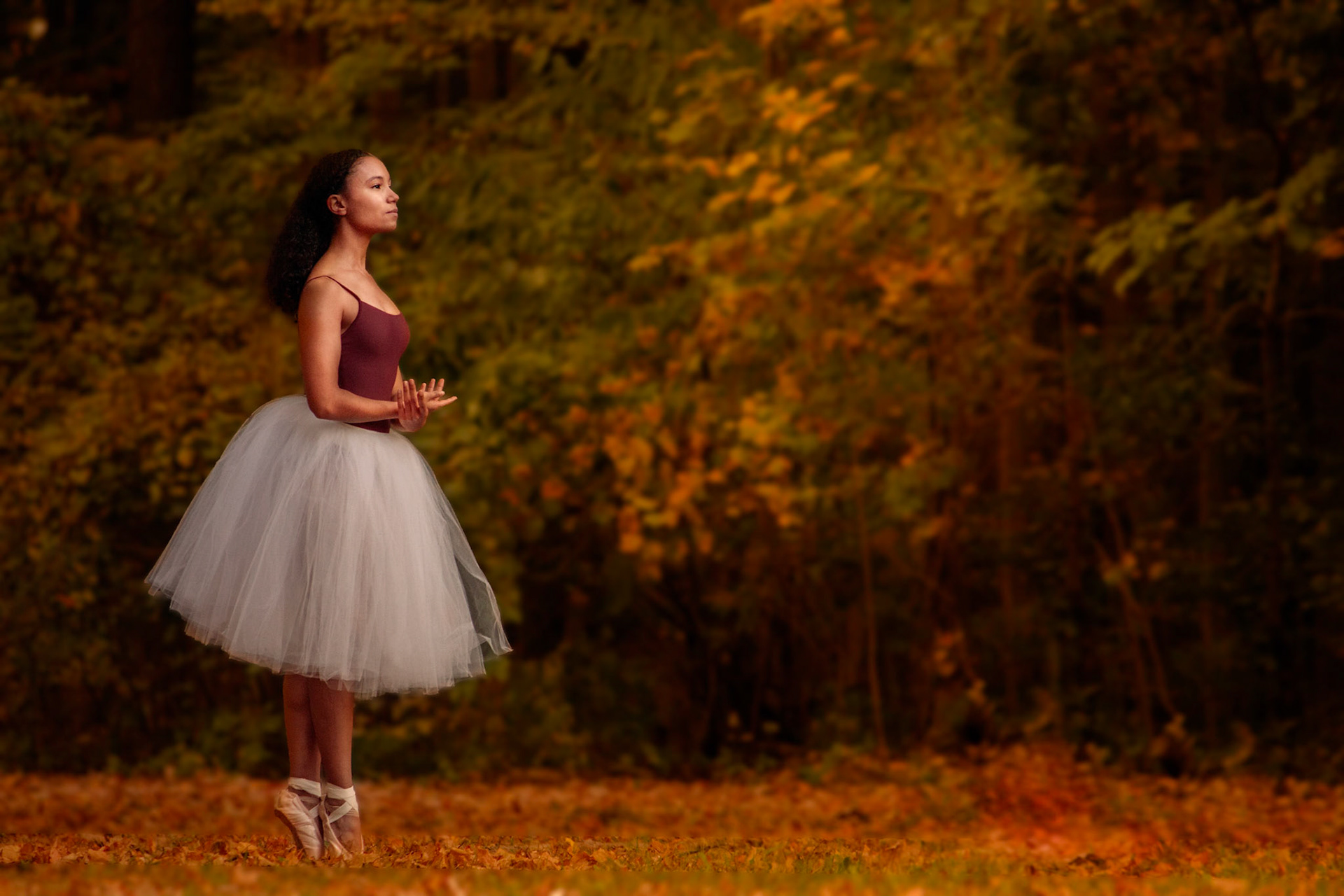 Grant Stull Photography
