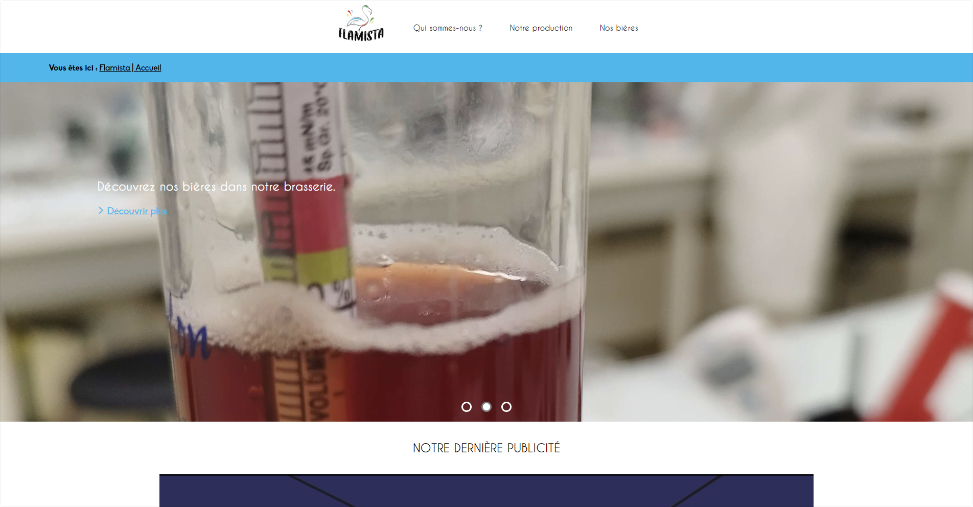 Accueil site Flamista