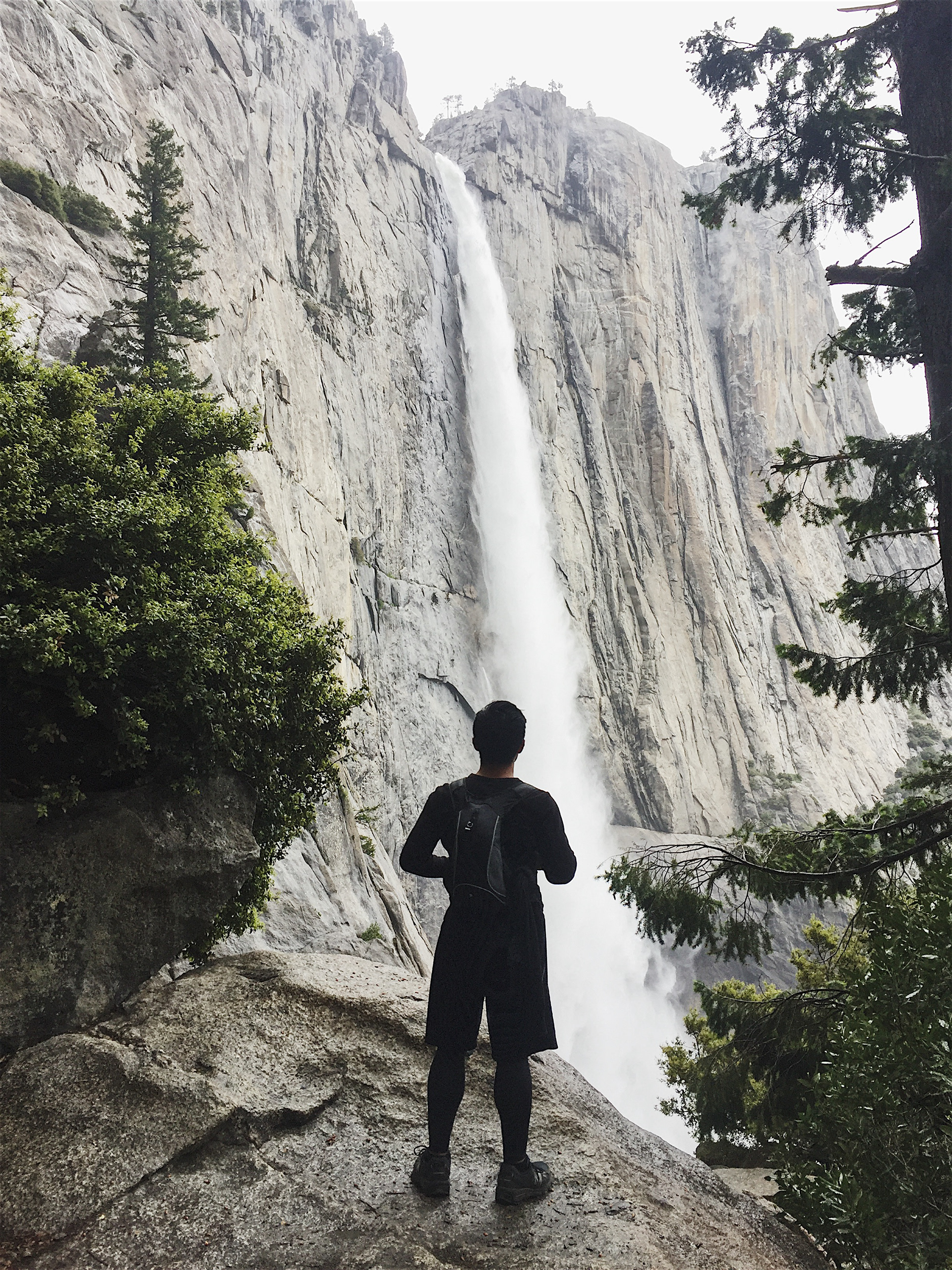 Yosemite Summer 2017