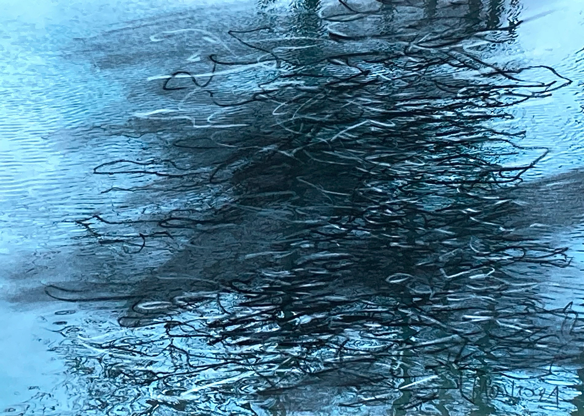 Erlaufwasser (Fotodruck und Kreide, 21x29), 2021