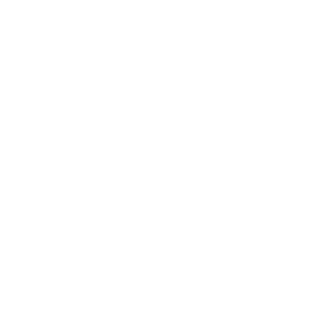 RAY LUX