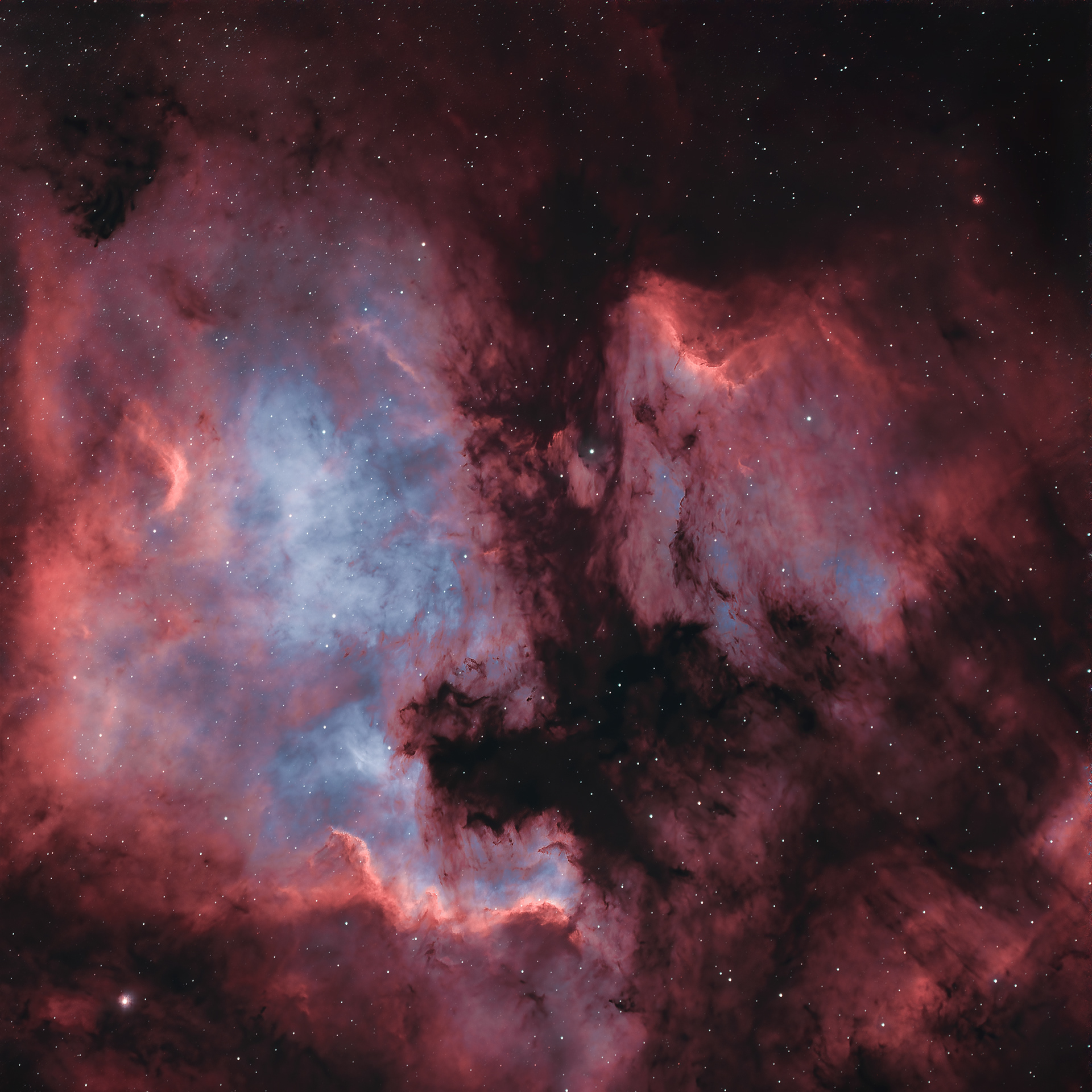 NGC 7000 & IC 5070