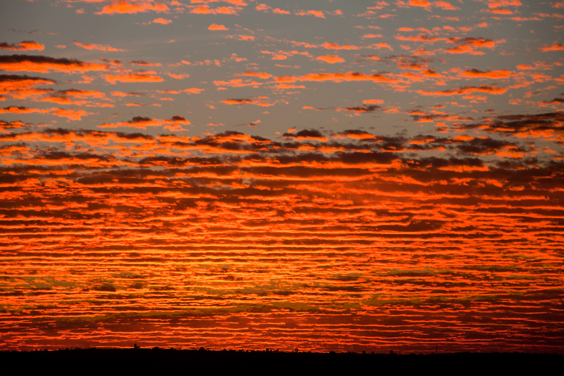 O céu de Burle Marx, Brasília, Brasil