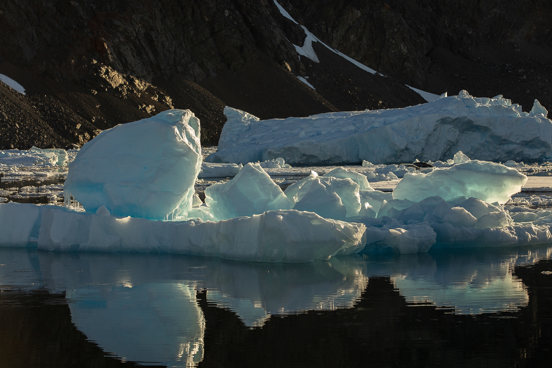 Icebergs dos fjords antárticos