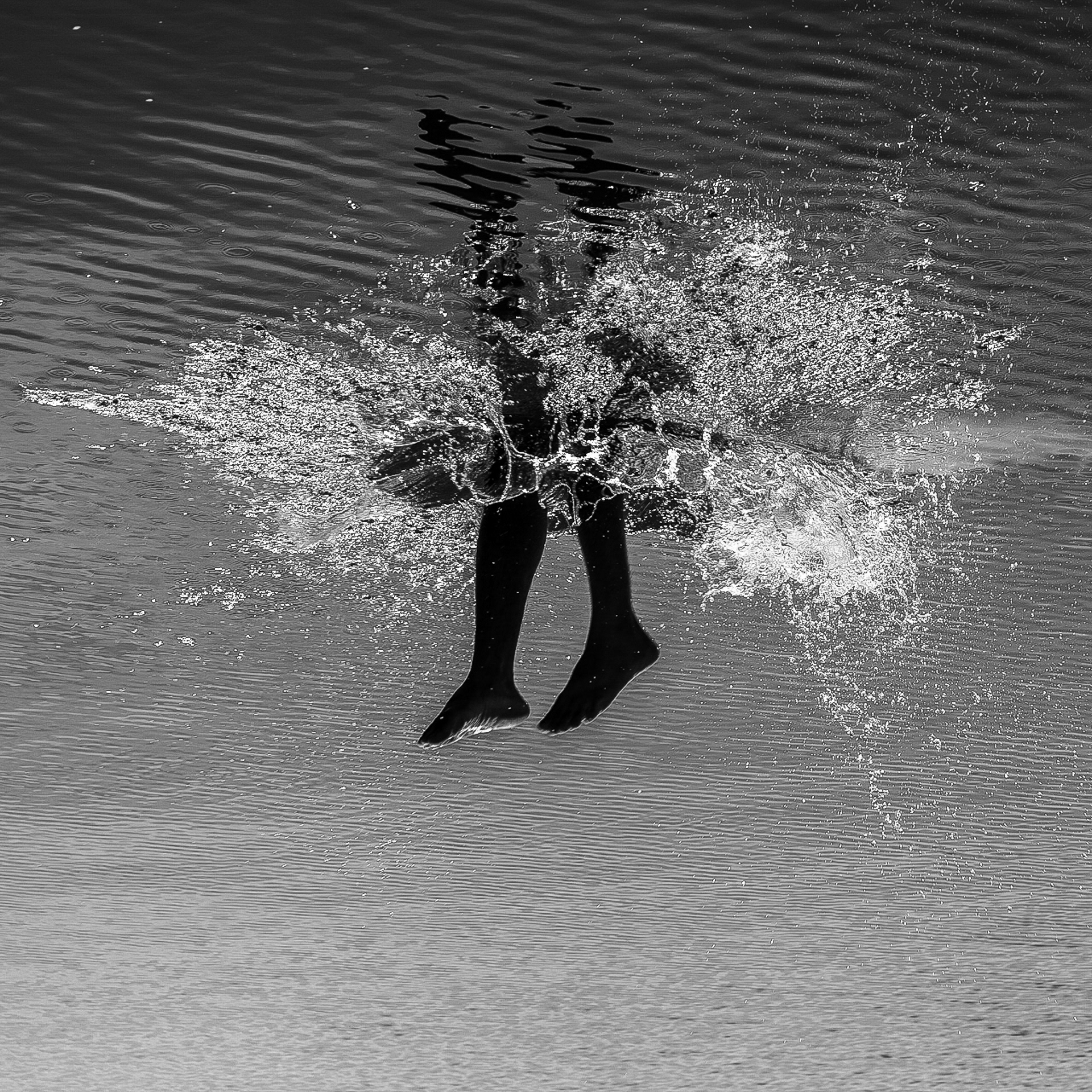Wish you were diving, Lago Paranoá, Brasília, Brasil