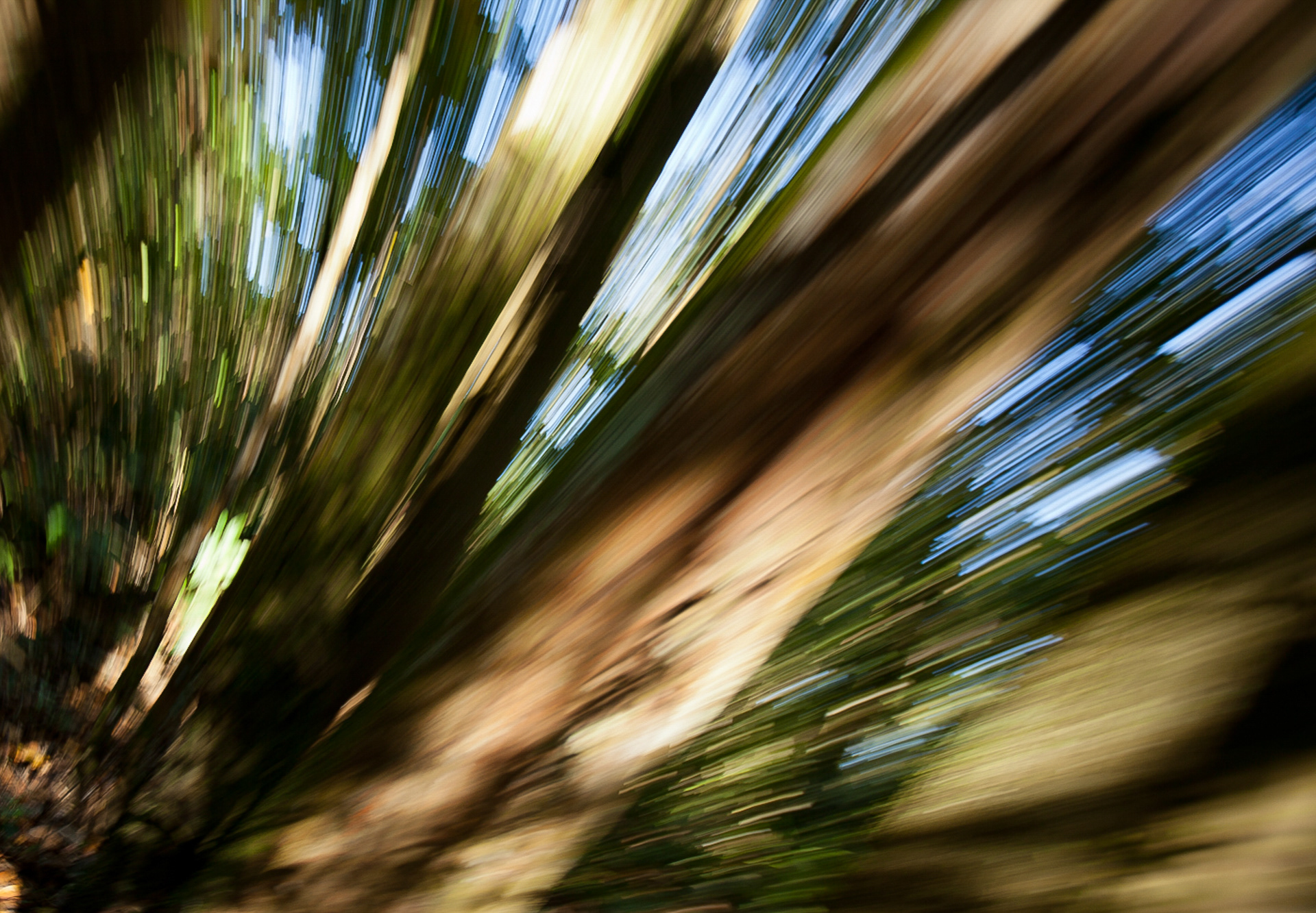 Floresta-láctea, São Francisco Xavier, Brasil