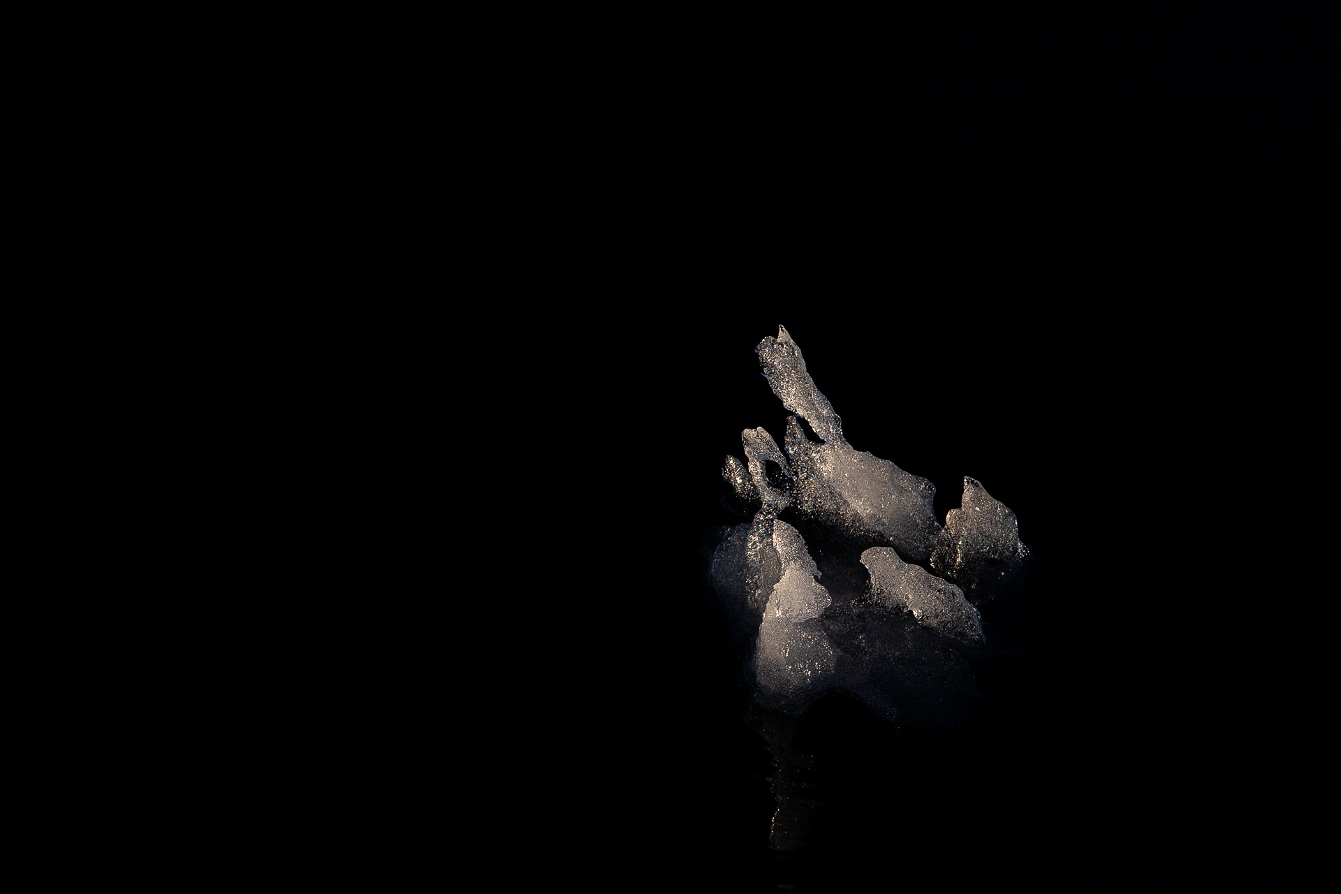 The last ice, Antártica