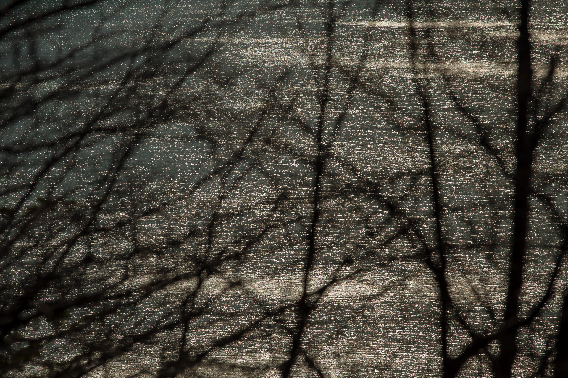 Floresta e Água, Parque Nacional dos Glaciares, Argentina