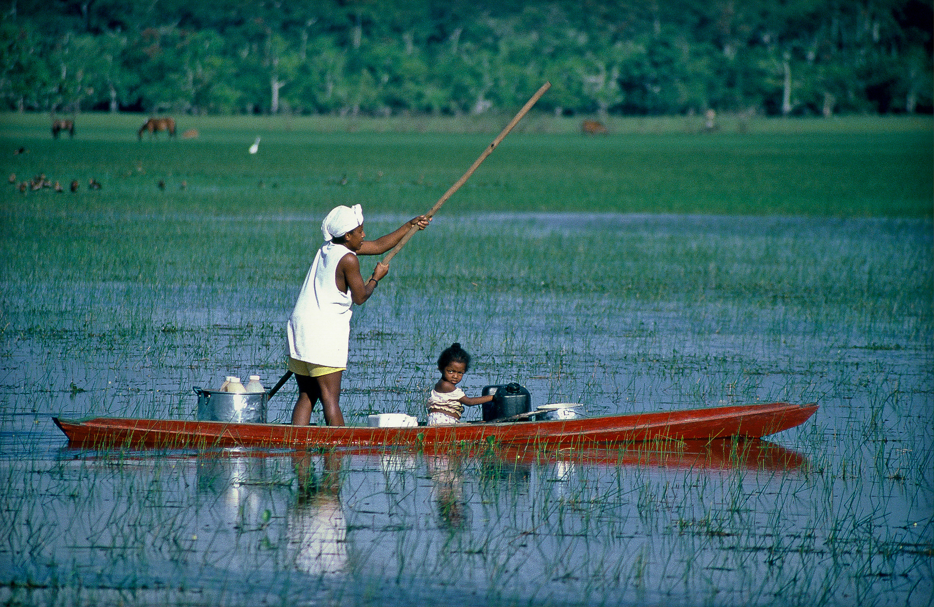 Curiaú, Amapá, Brasil
