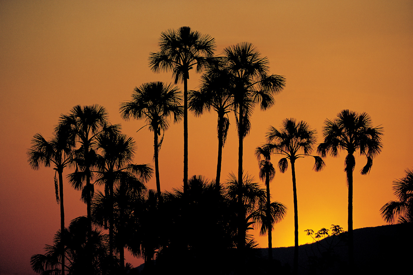 Veredas, Cavalcante, Brasil