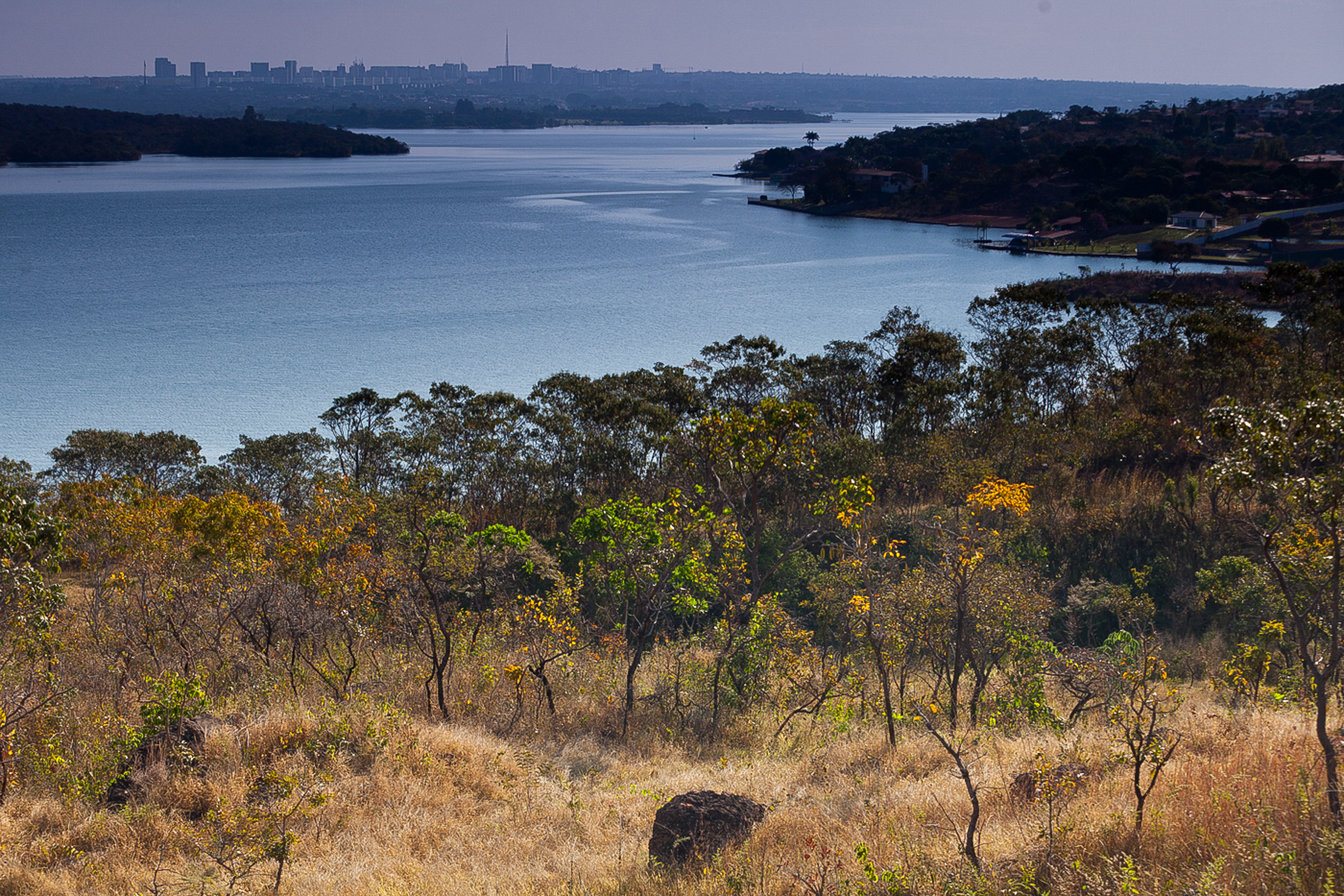 O Cerrado do Lago Paranoá, Brasília