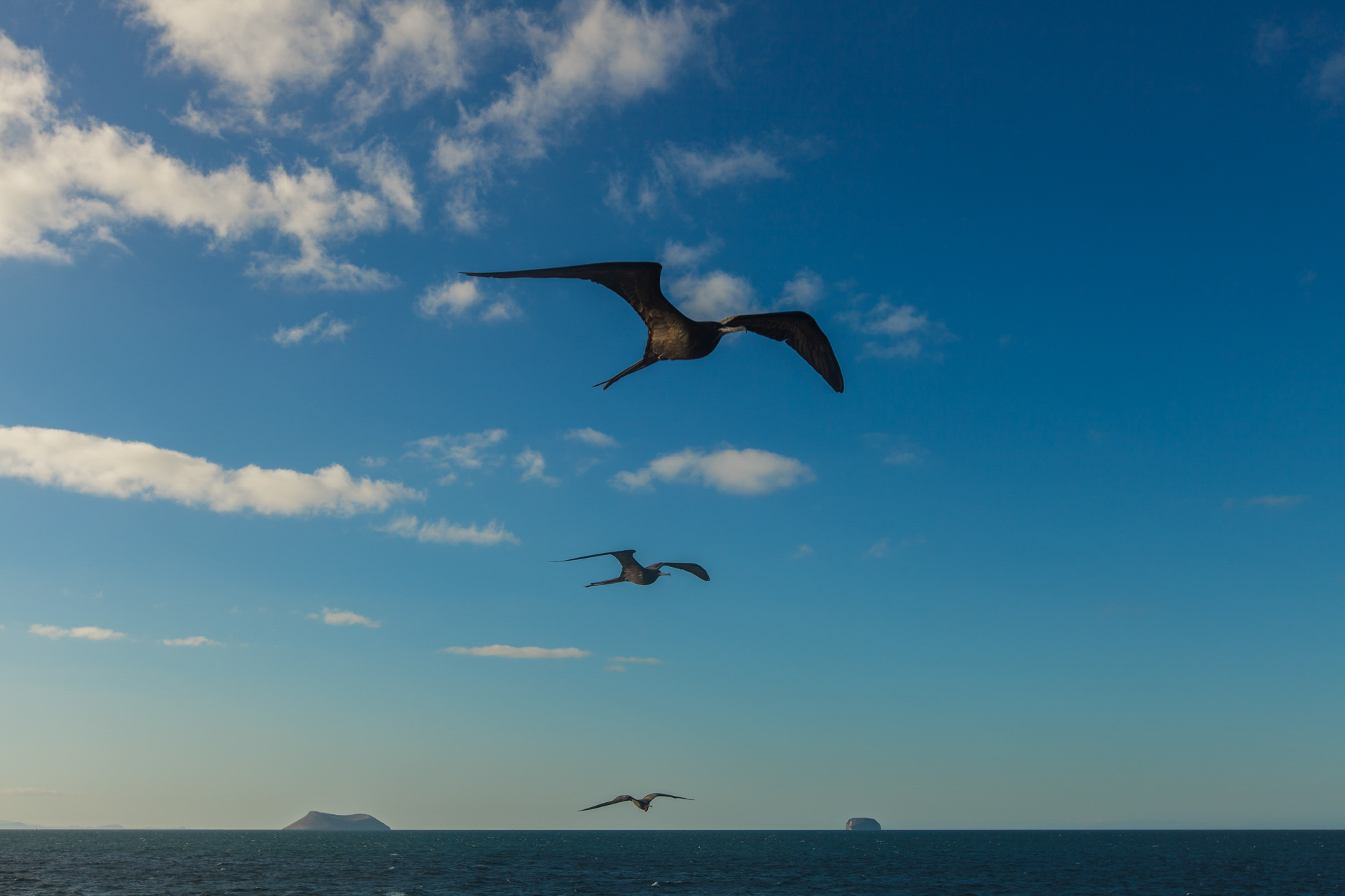 Las 3 fragatas, Islas Galápagos