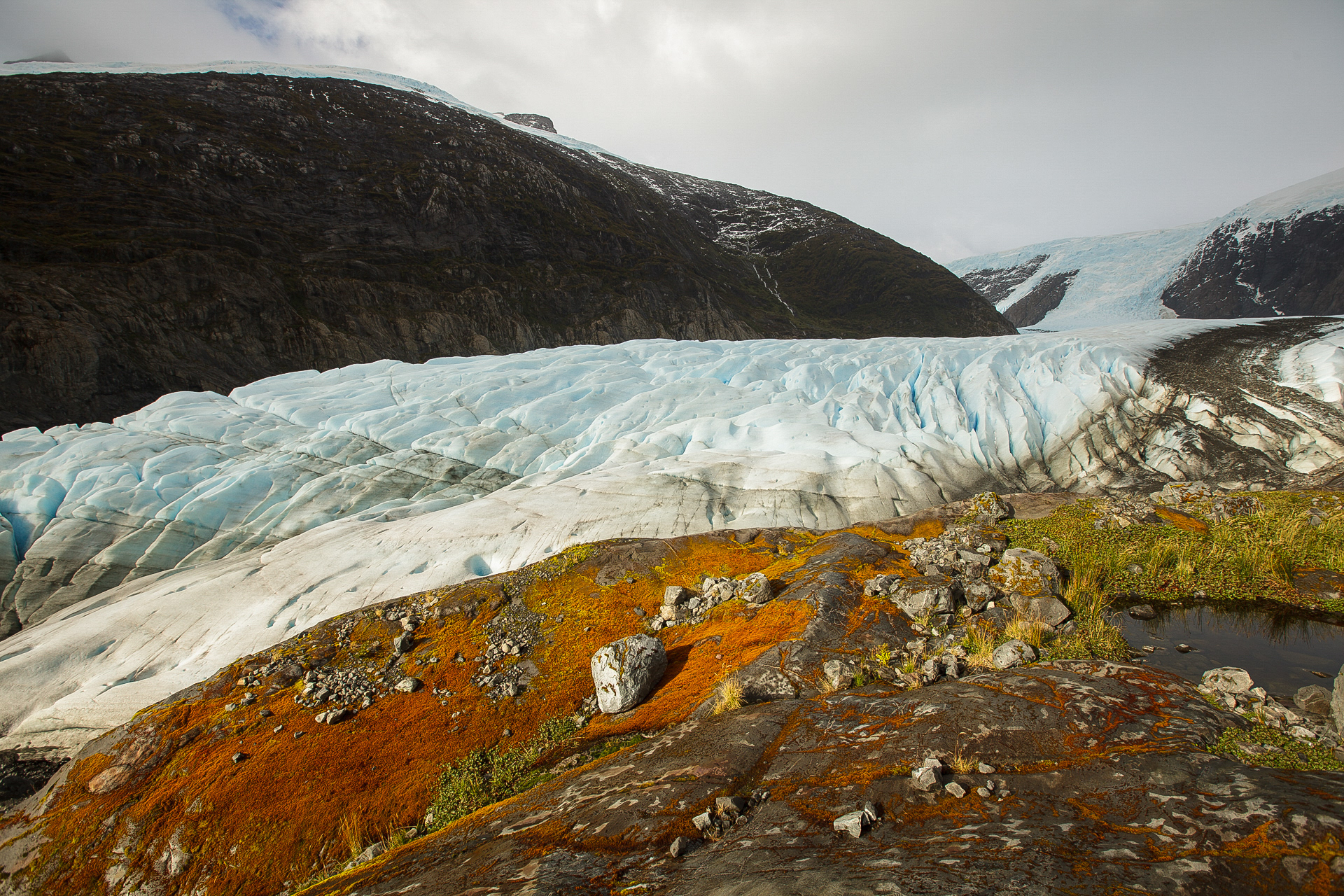 O jardim do glaciar, Cordilheira Darwin, Chile