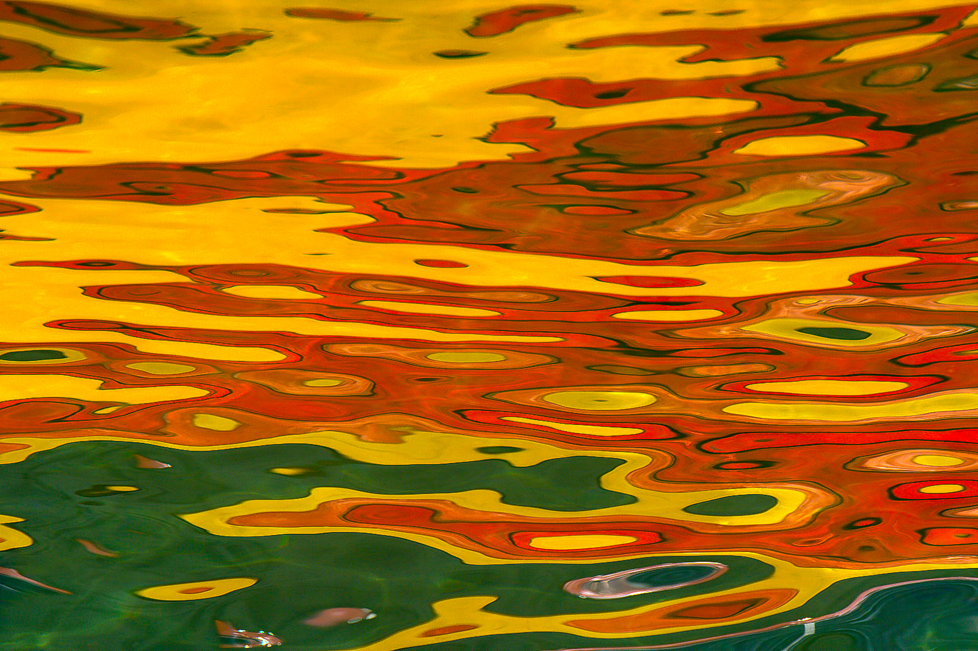 Reflexo Sulawesi, Indonésia