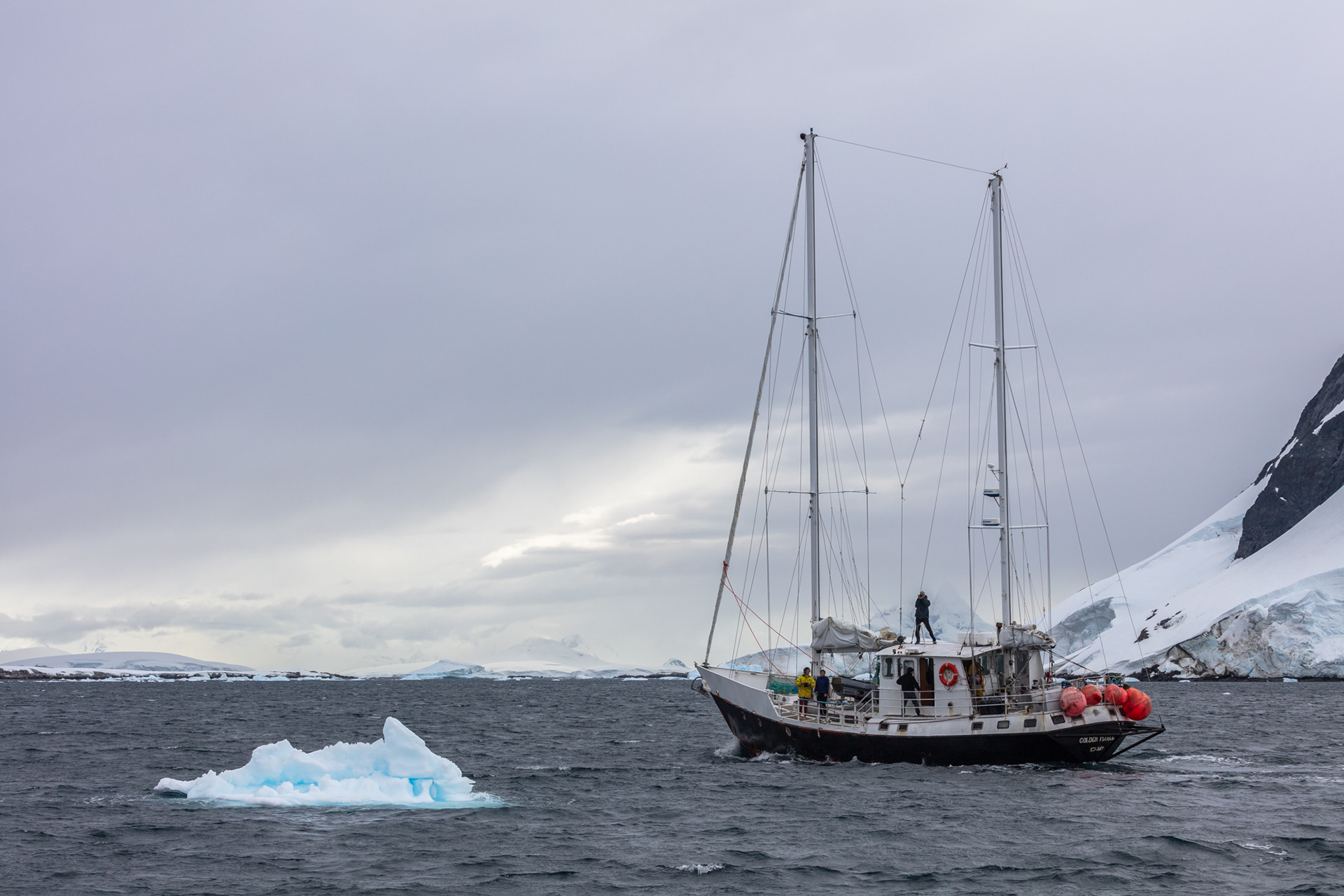 Golden Fleece, Port Charcot, Antártica