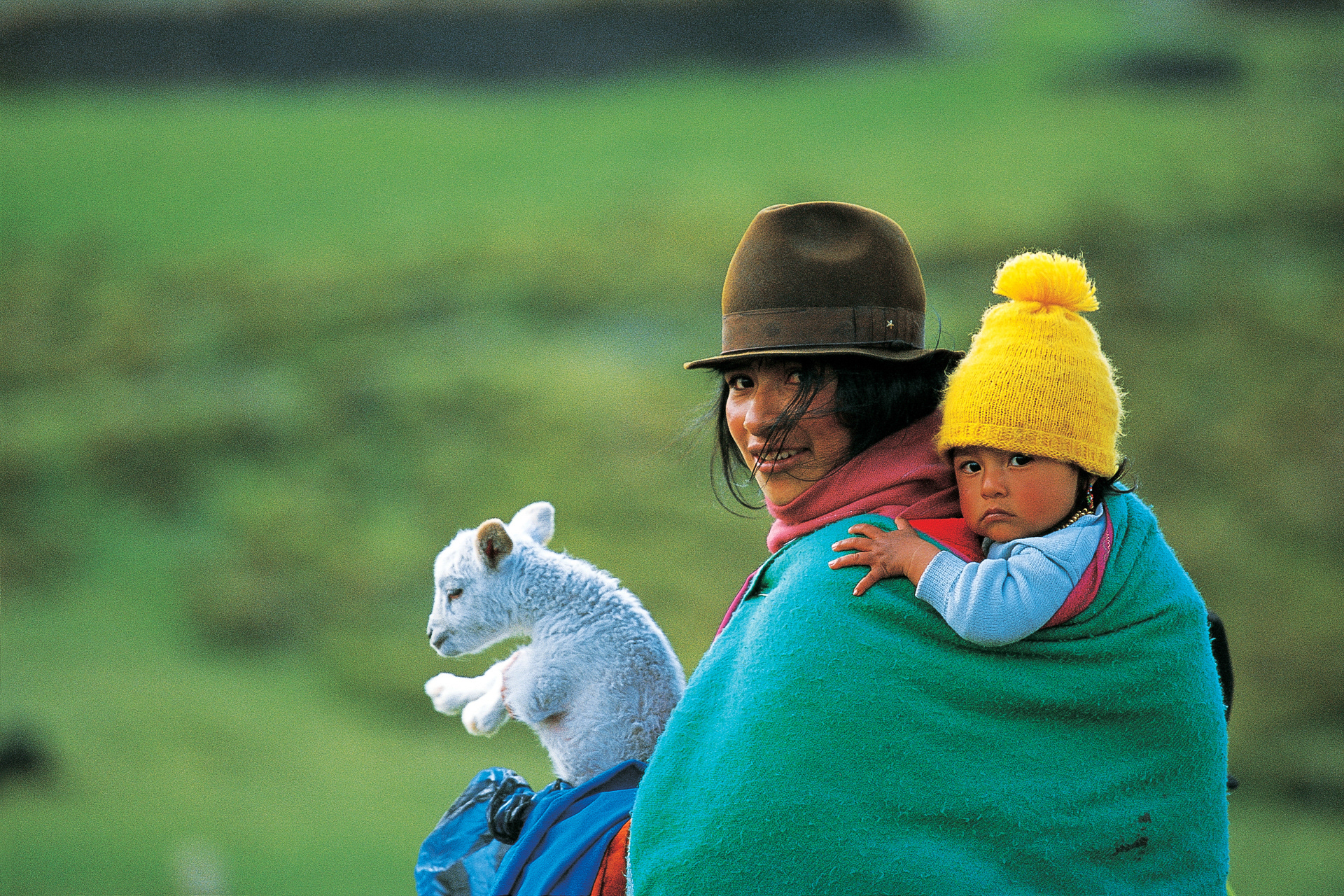 Família andina, Equador