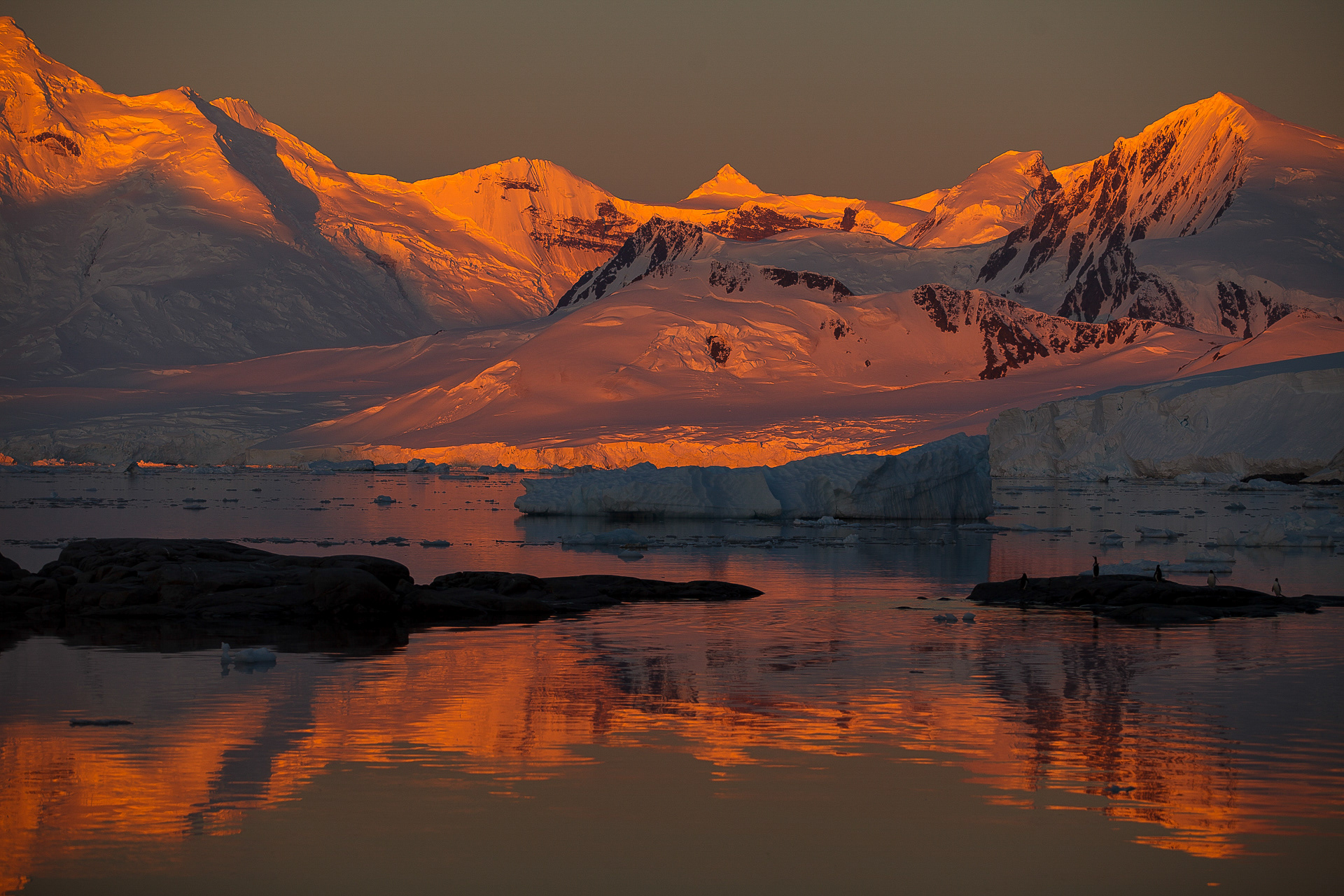 Ilha Anvers desde a Baía Dorian, Antártica