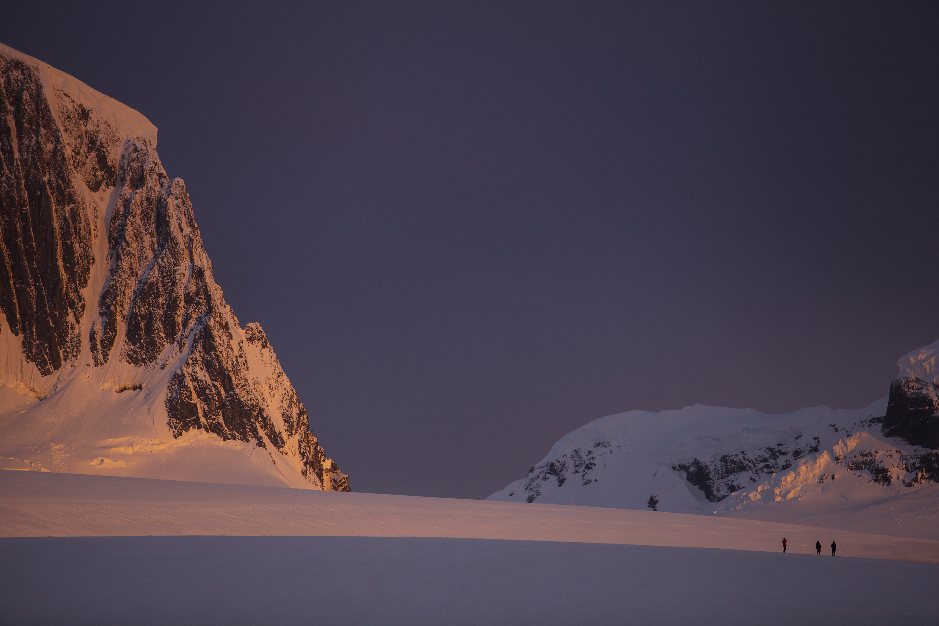 Ilha Wiencke, Antártica