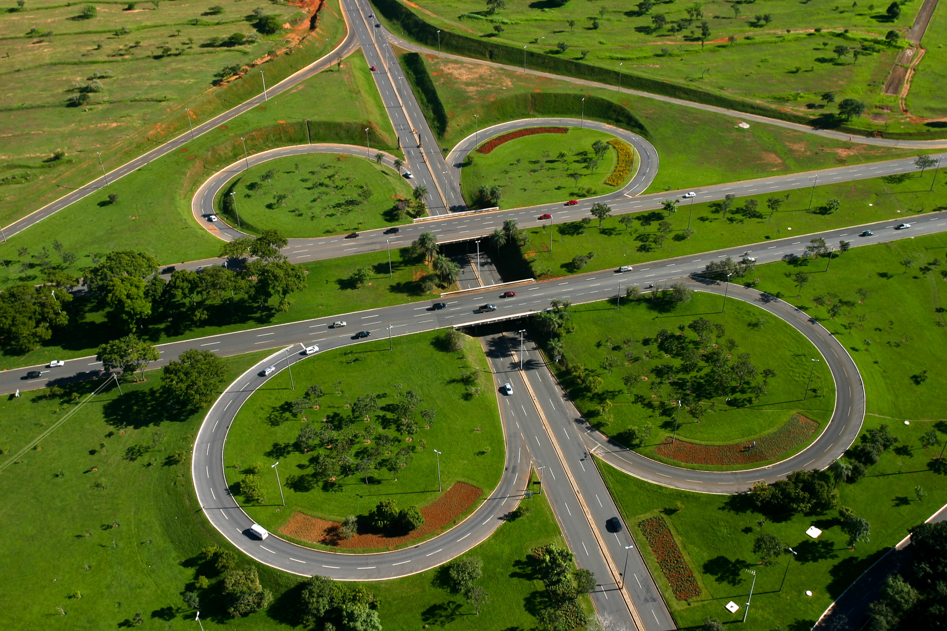 Tesourinhas de asa-trike, Brasil