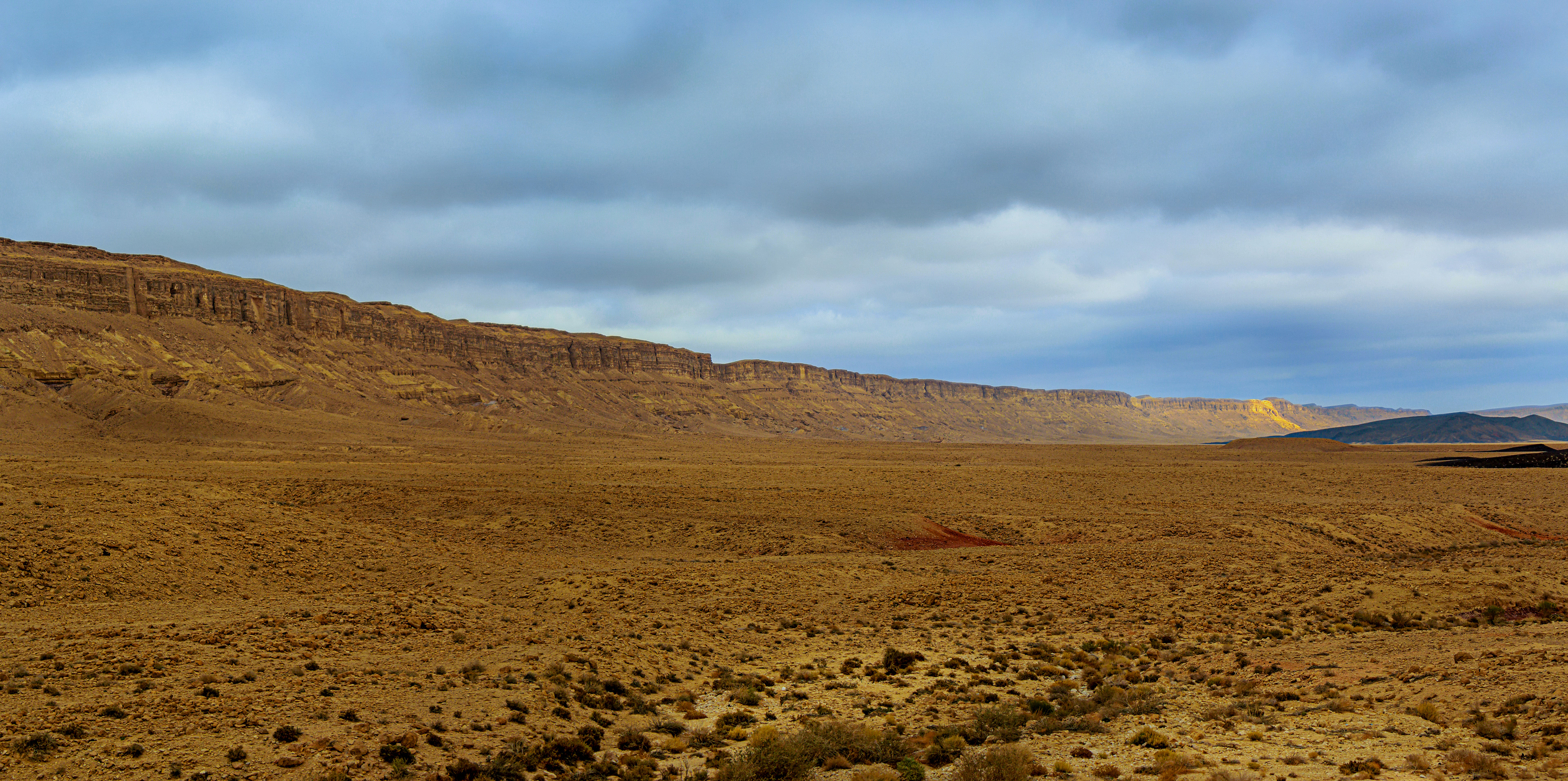 Negev Desert