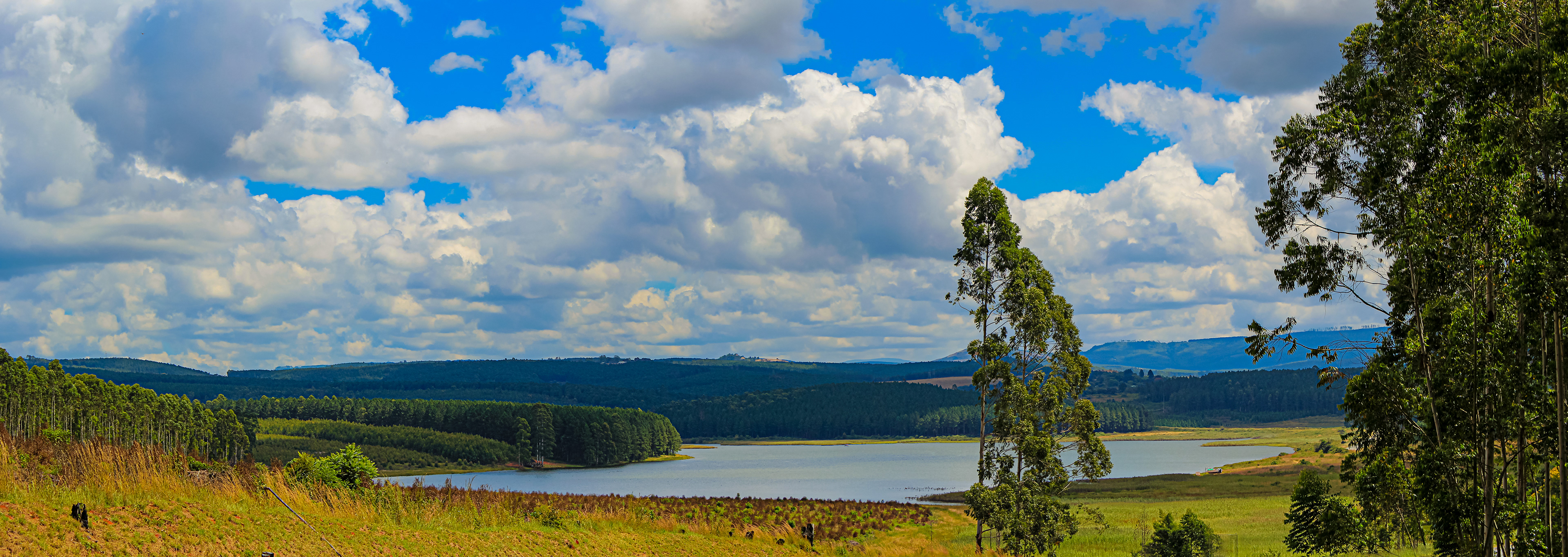 Kruger National Park