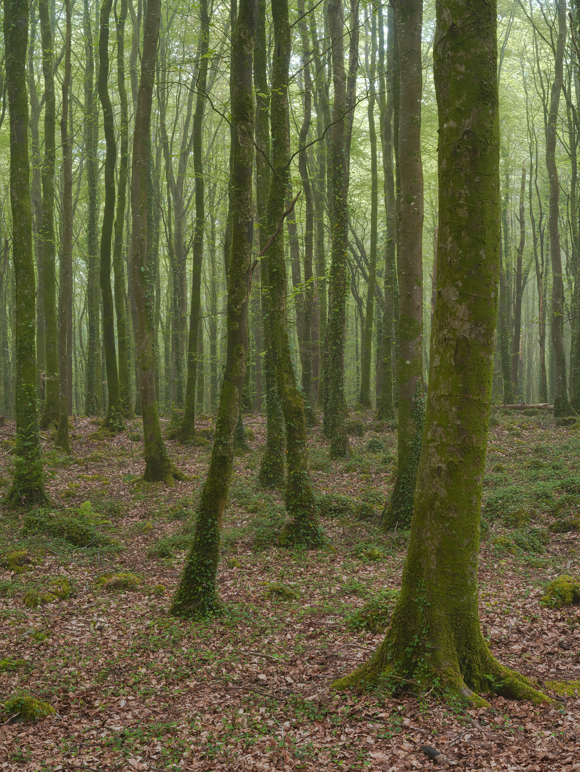 Mooghaun Hill, County Clare