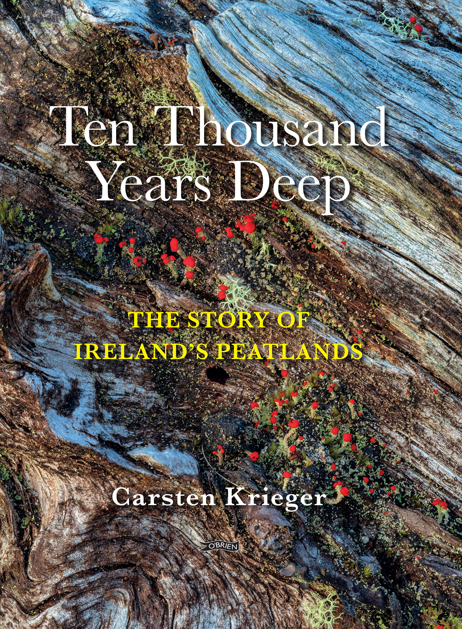 Available from O'Brien Press and all bookshops