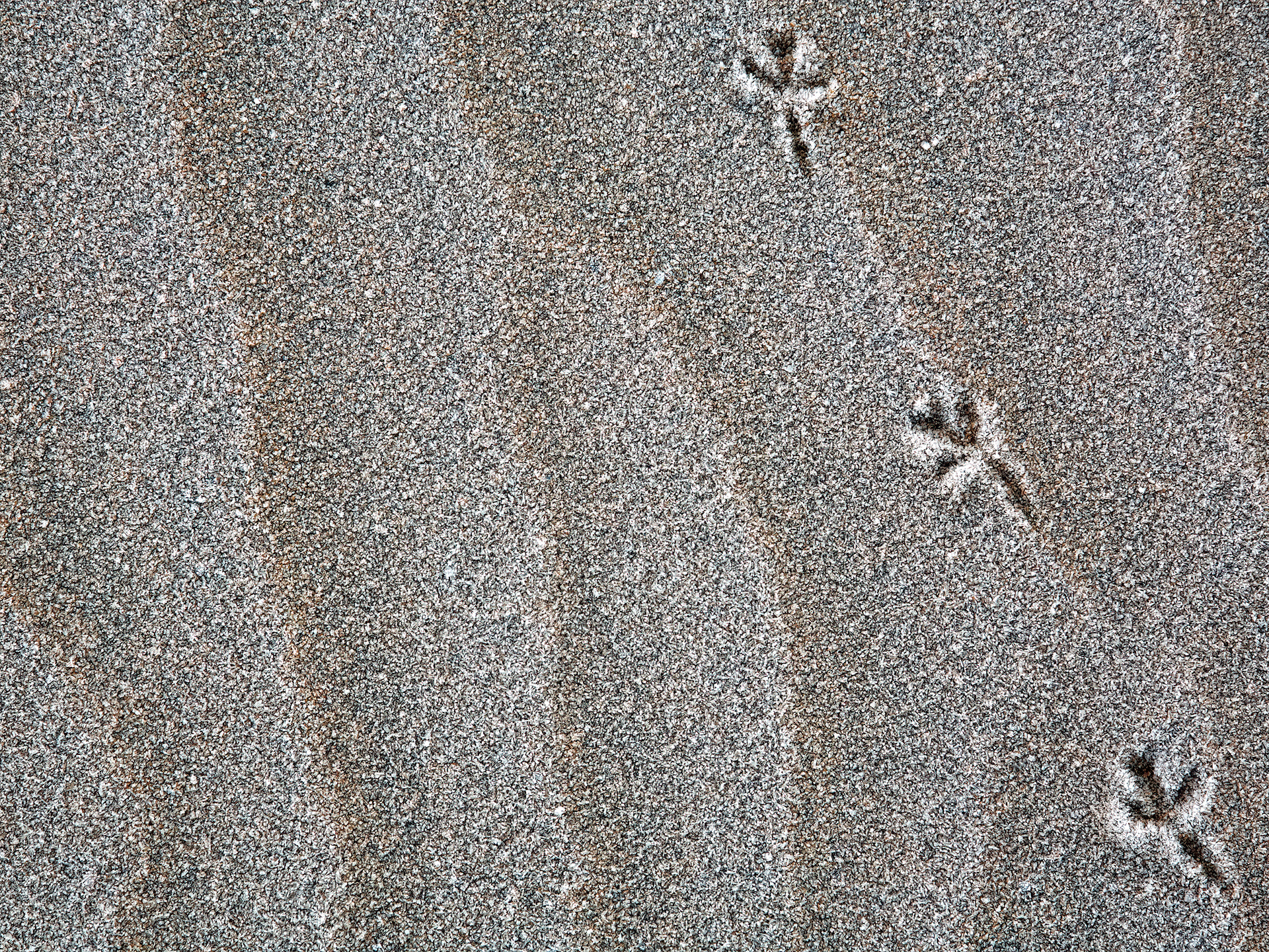 Footprints