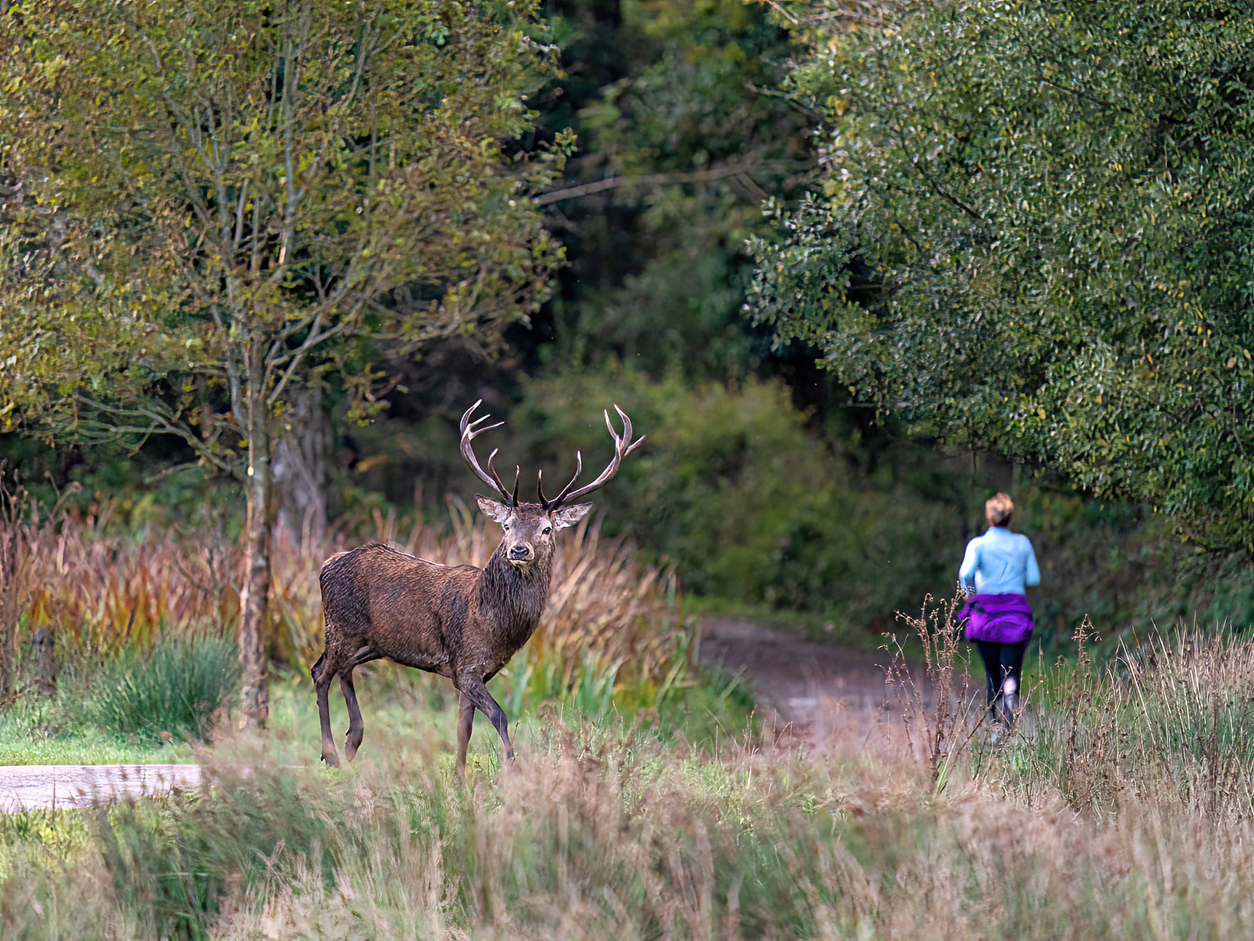 Killarney National Park Encounter