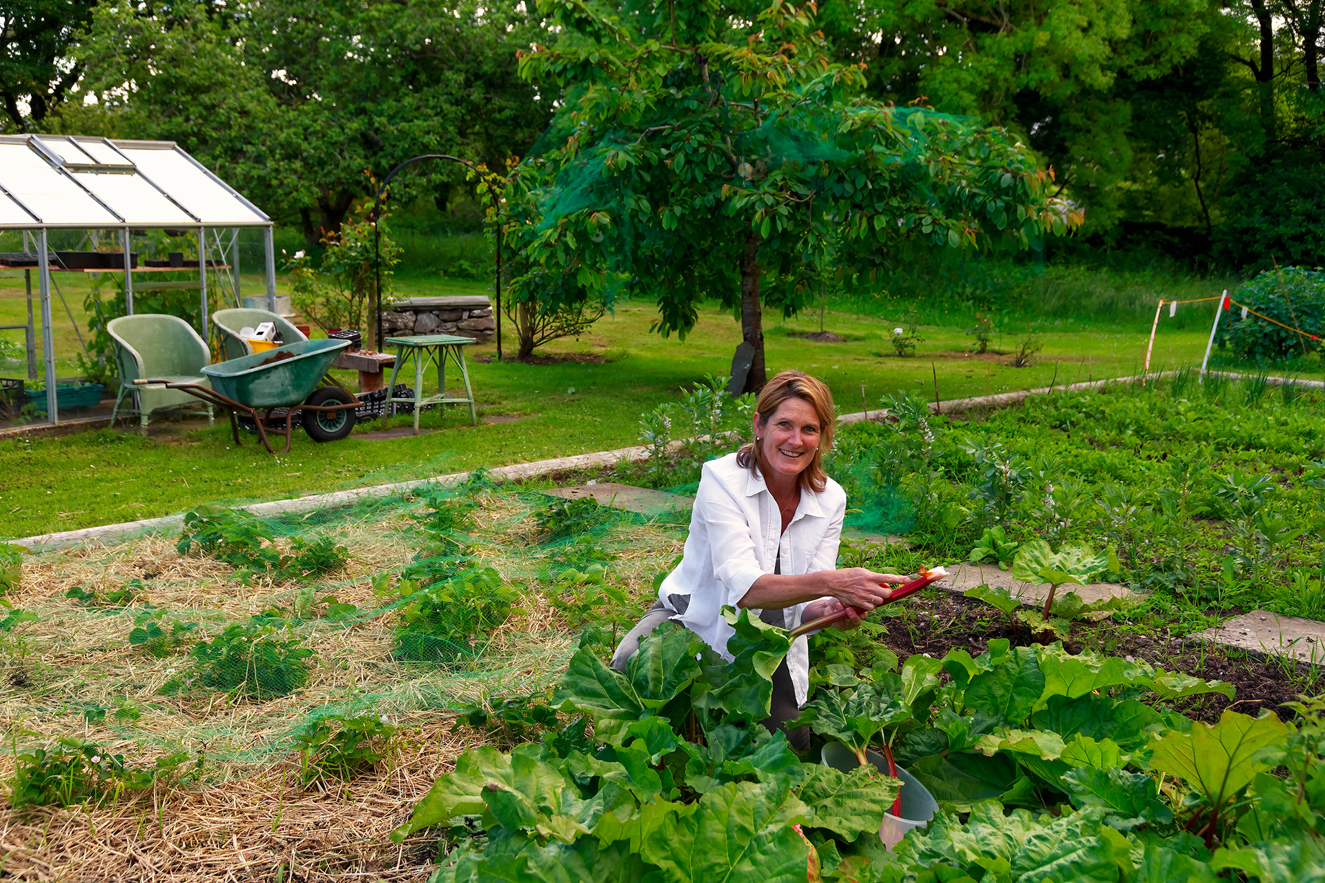 Burren Kitchen Garden