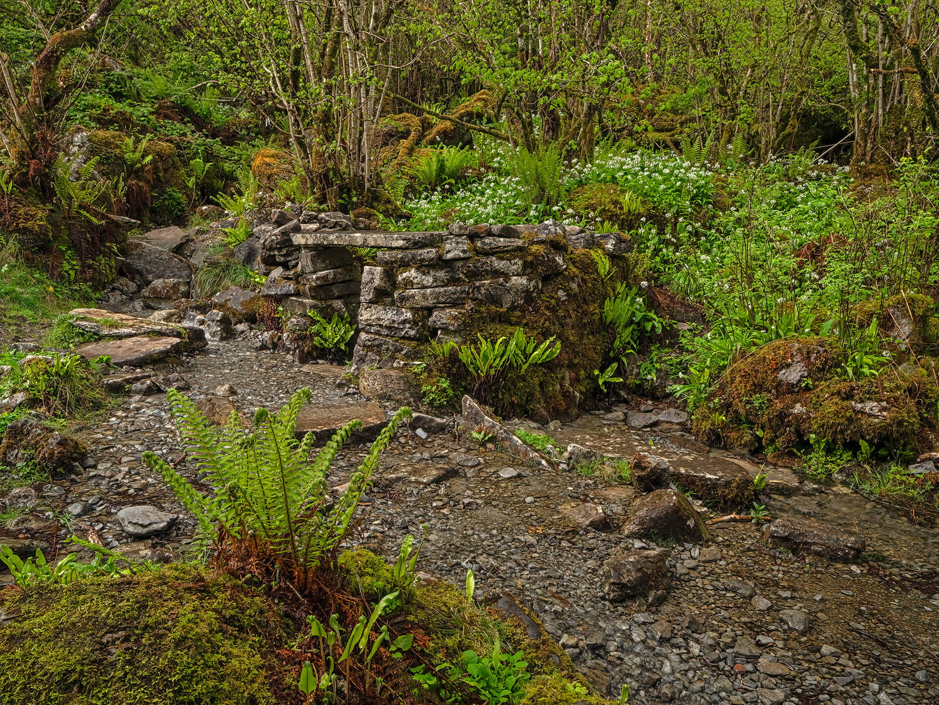 Eagle's Rock, The Burren