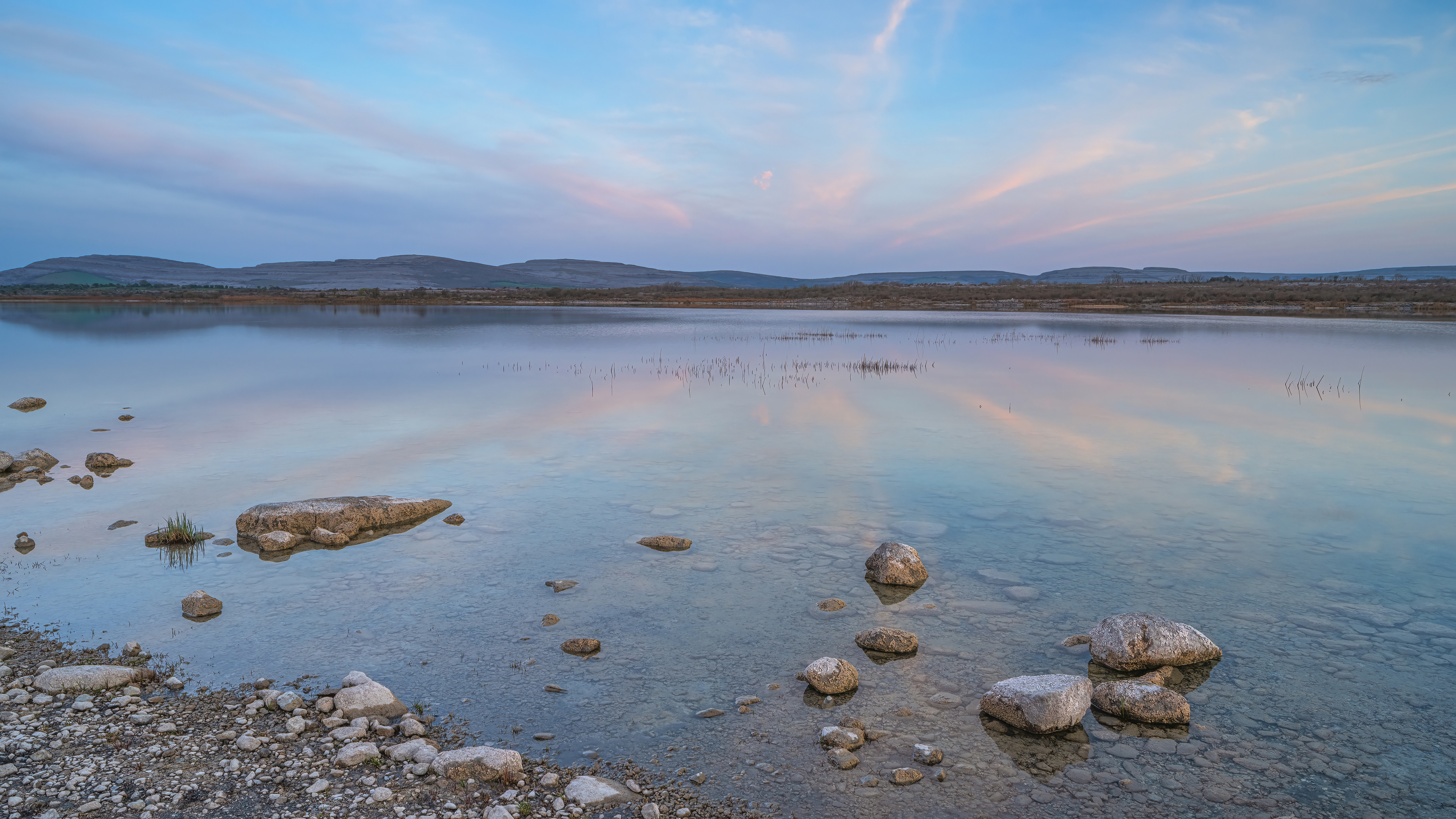 Lough Bunny
