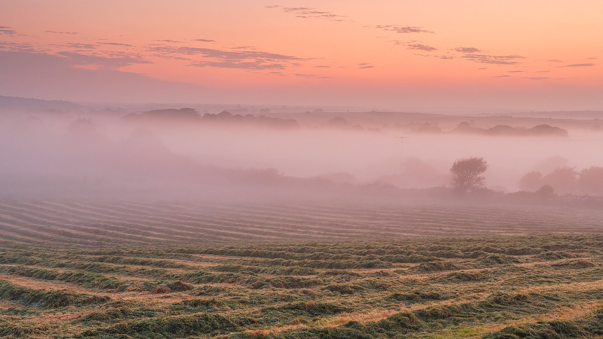 Hay & Mist, Kilfenora
