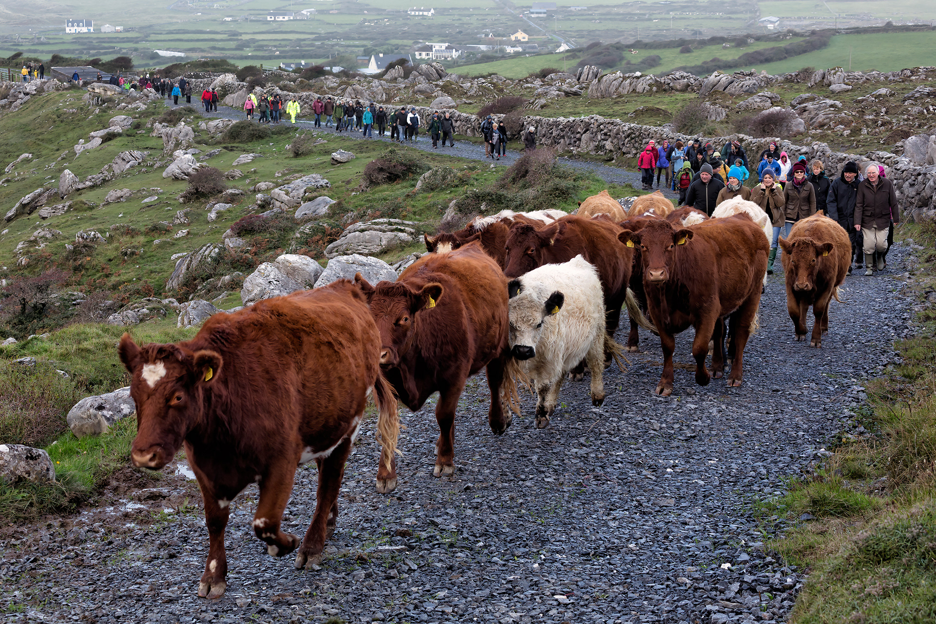 Burren Winterage