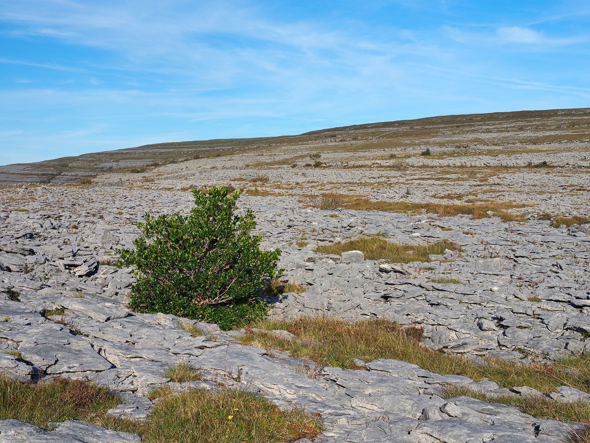 Burren uplands