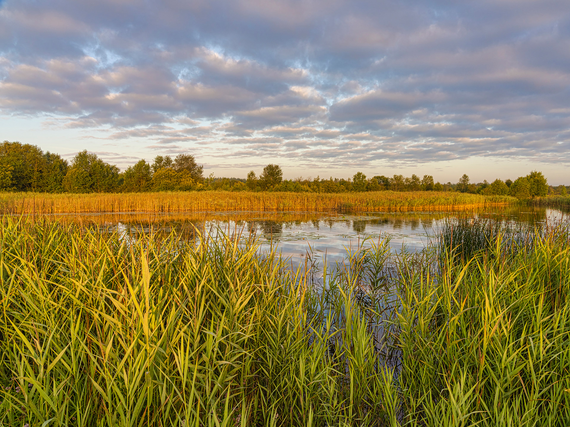 Lough Boora, County Offaly