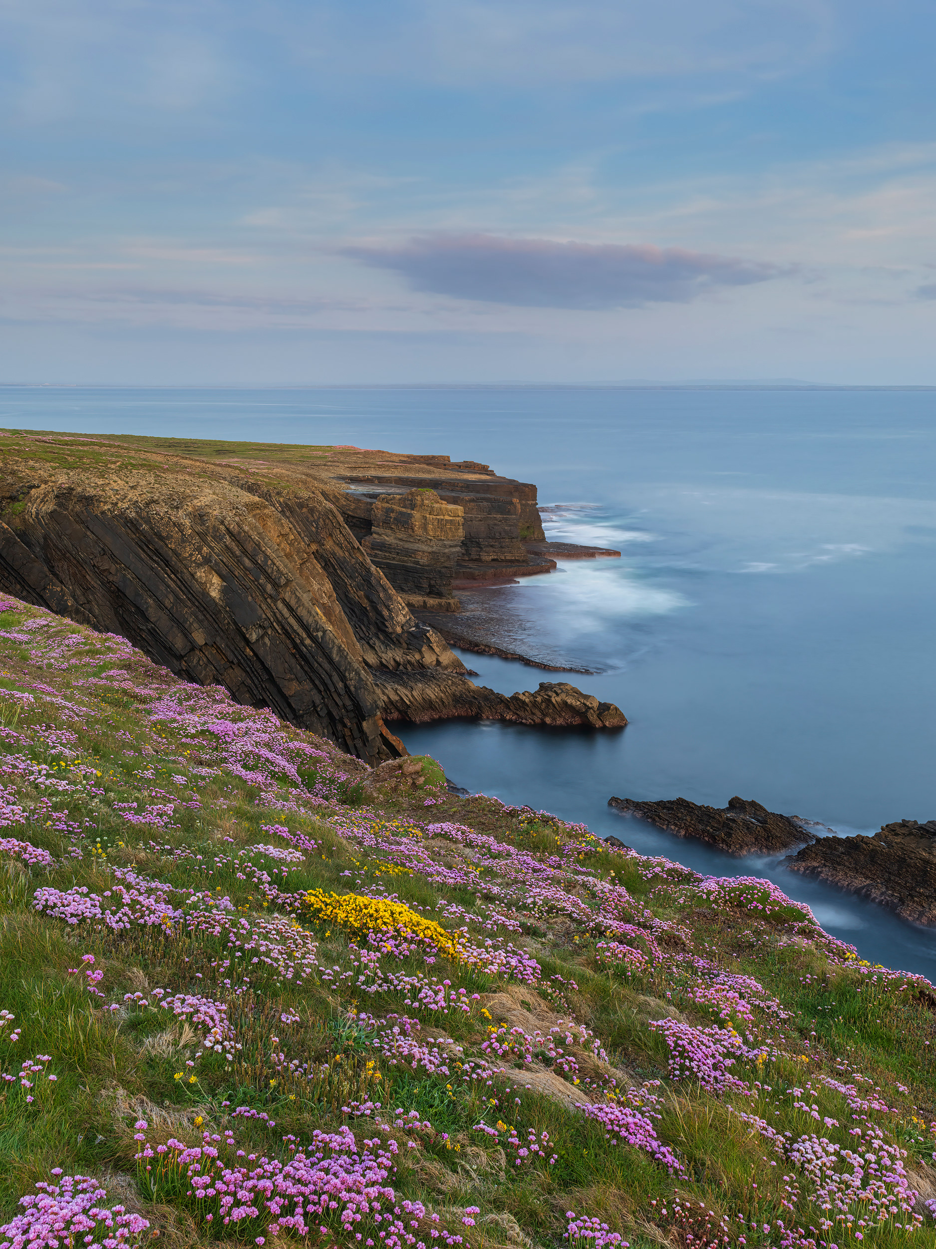 The Mouth of the Shannon