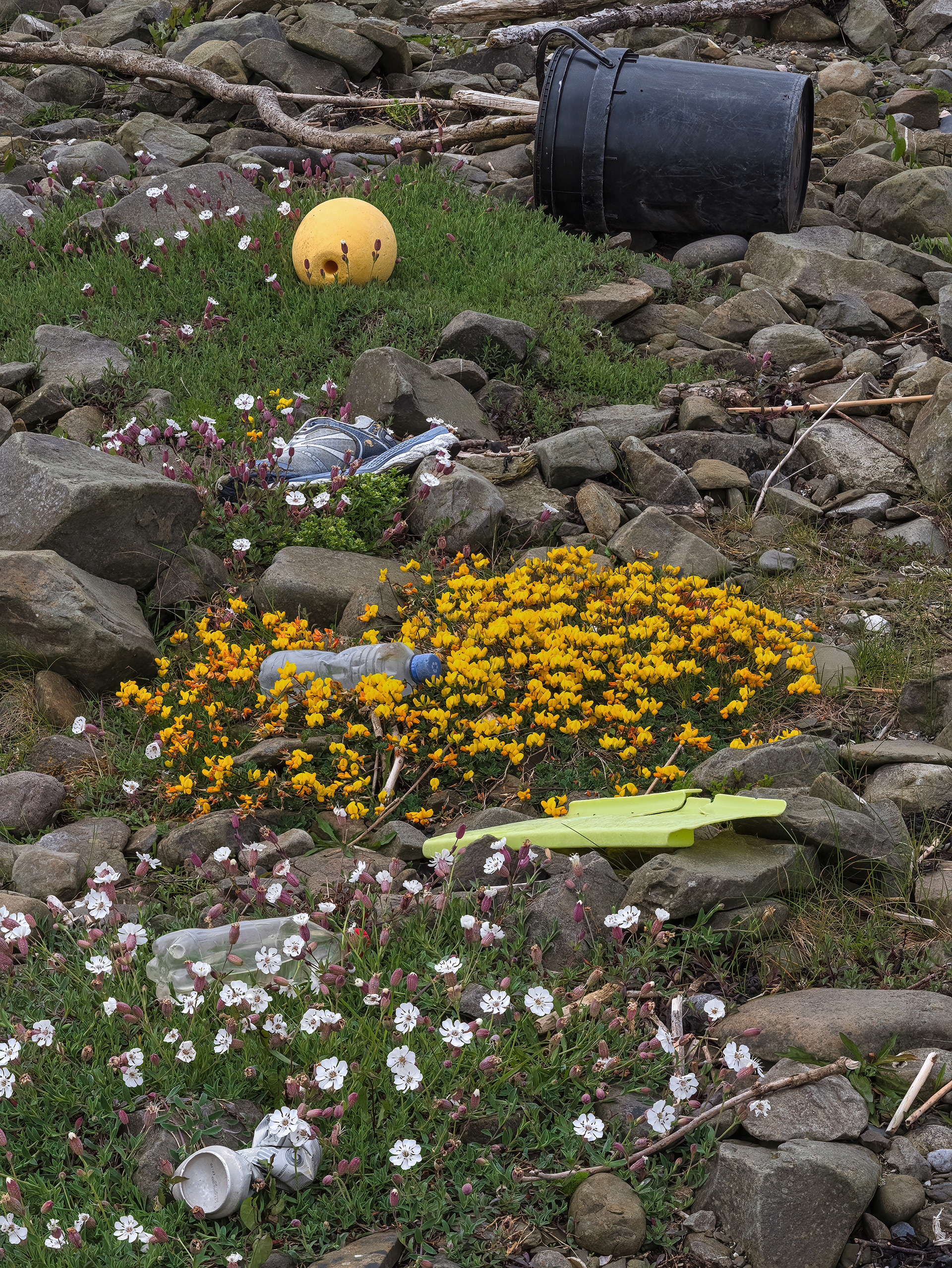 Coastal treasures