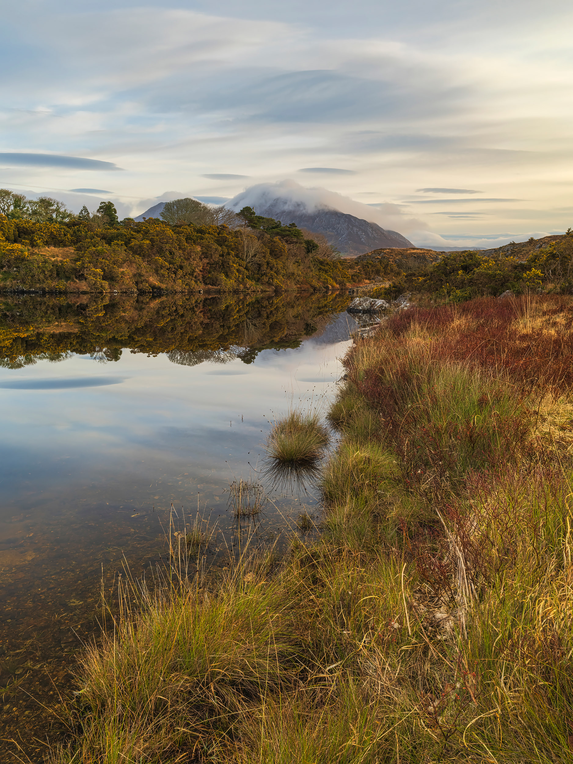Connemara blanket bog