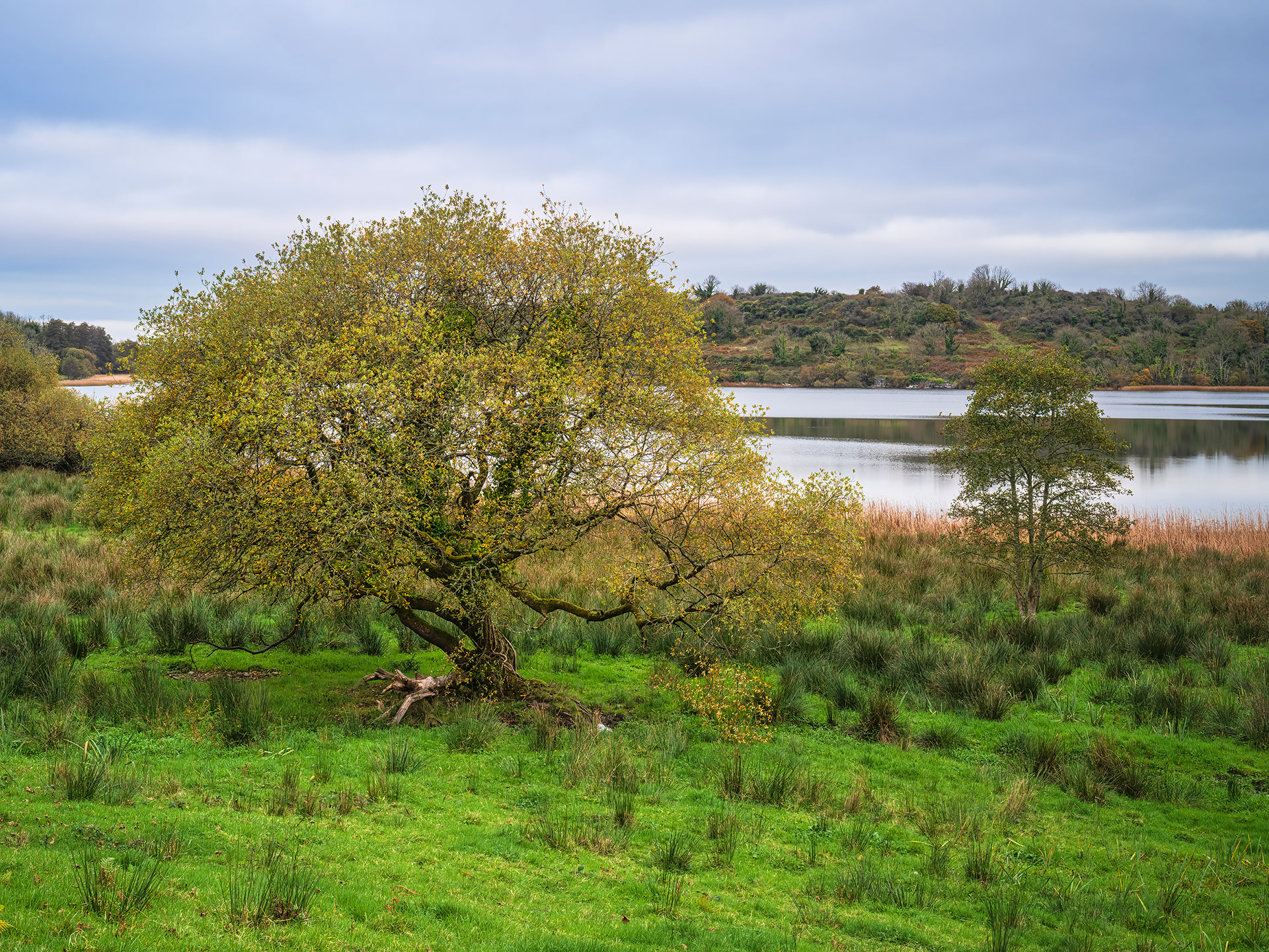 Killene Lough, County Clare