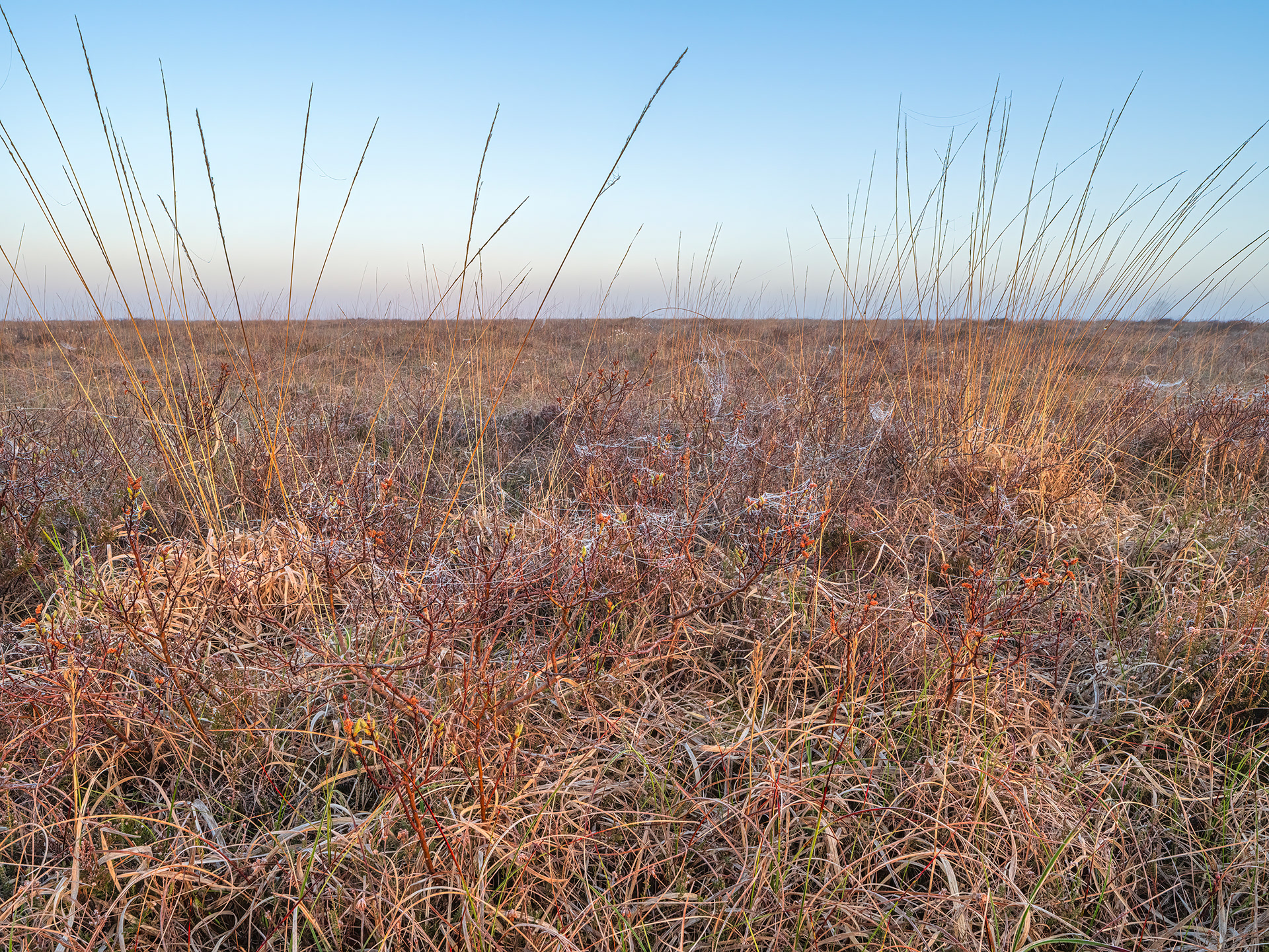 Tullaher Bog, County Clare