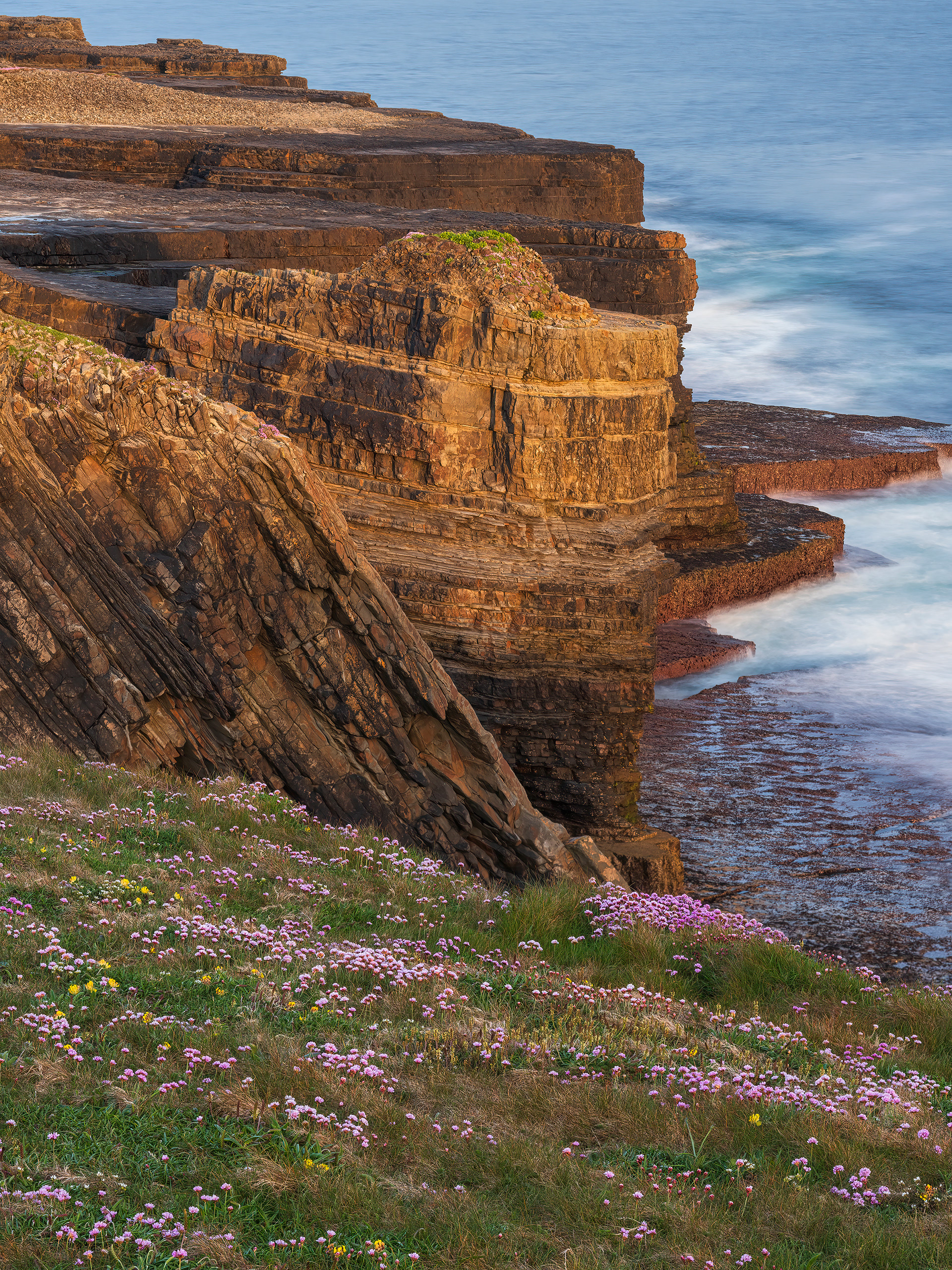 Wildflowers, Loop Head