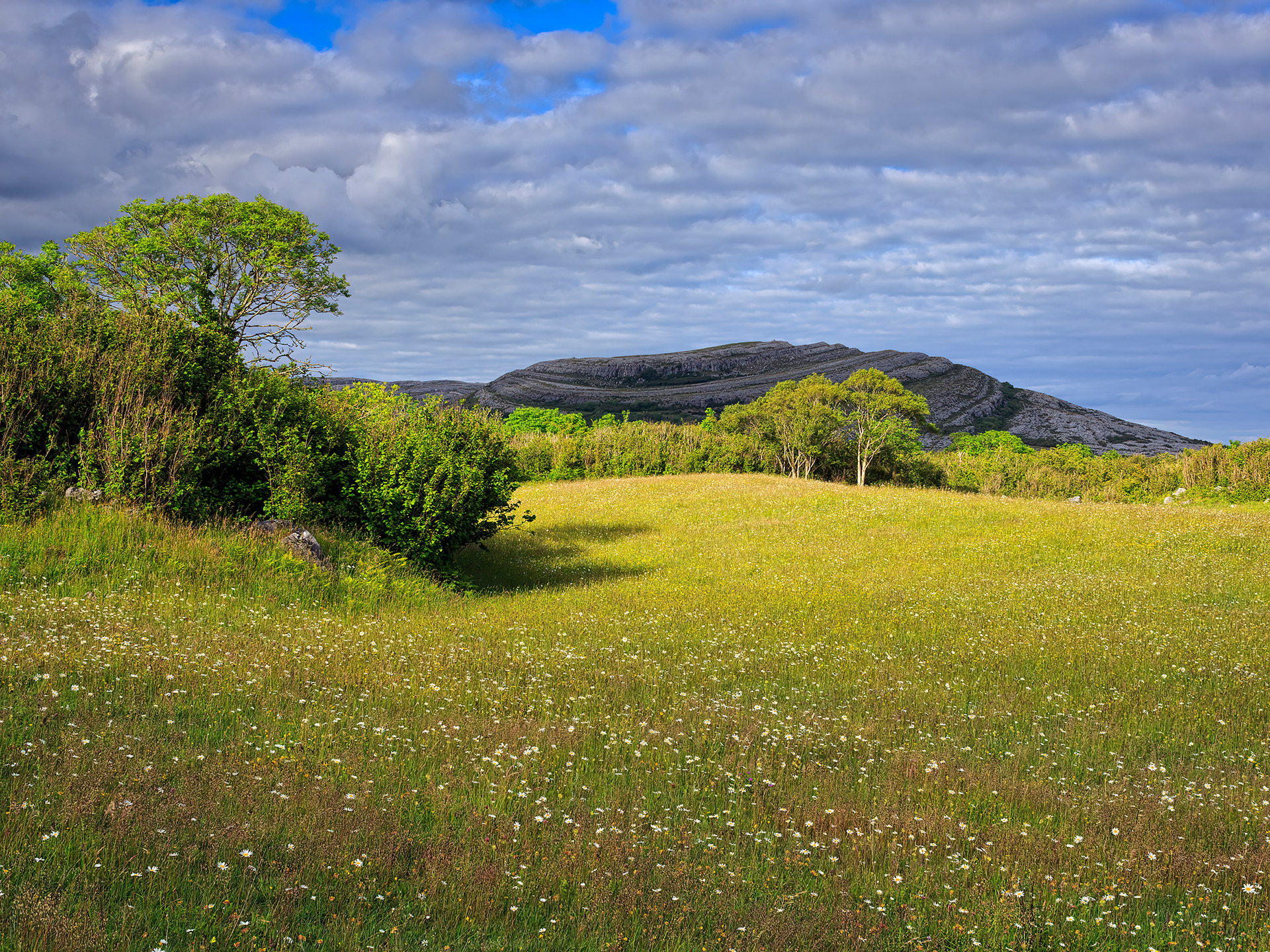 Burren National Park