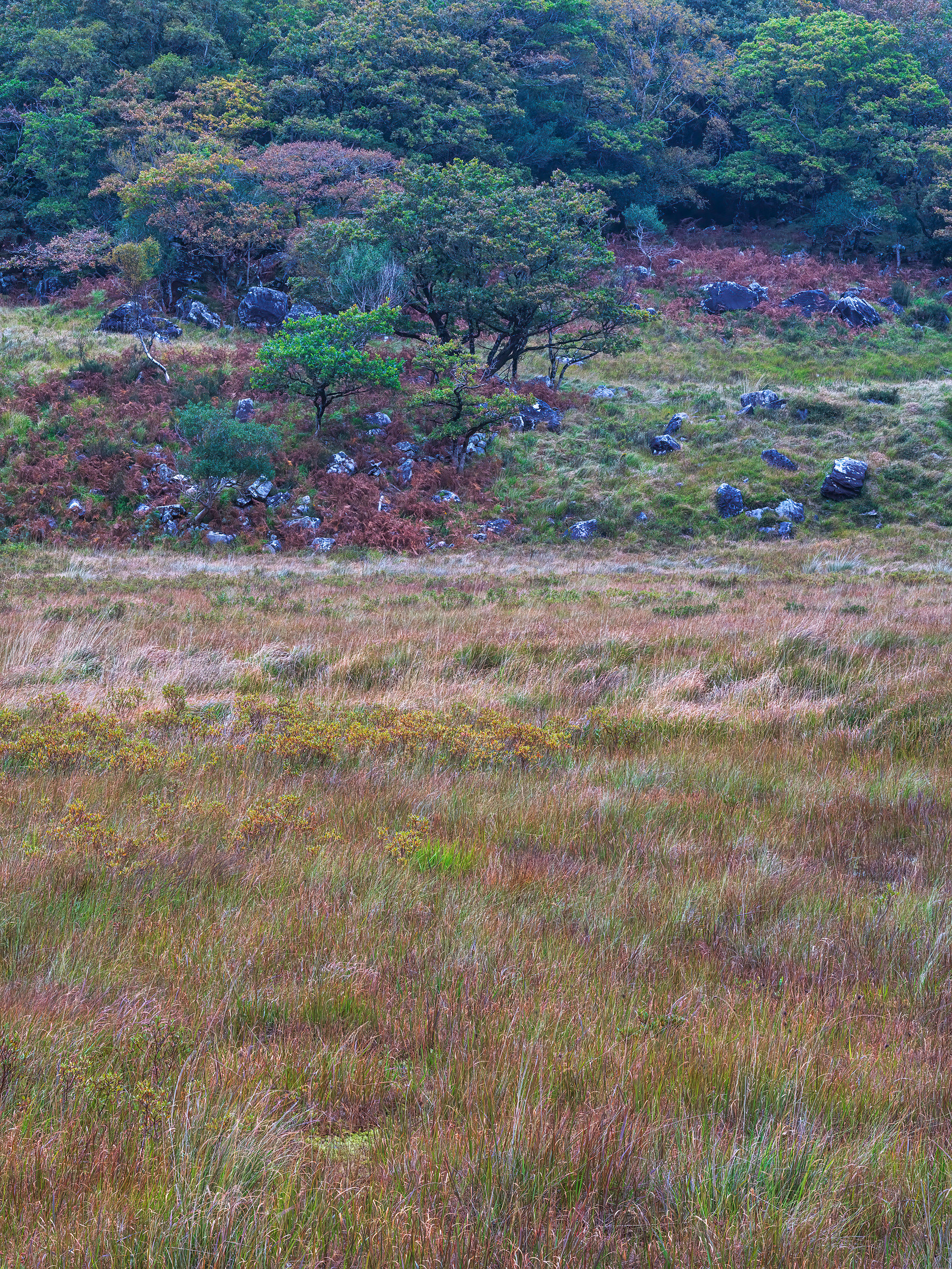Black Valley, County Kerry