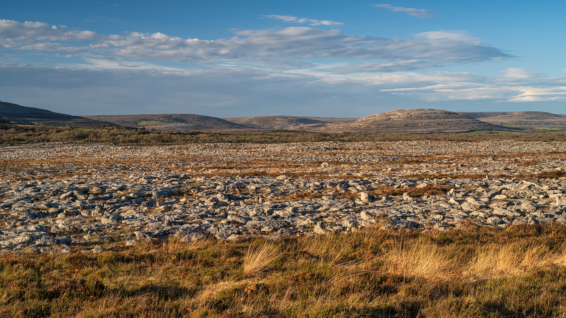 Rockforest, The Burren