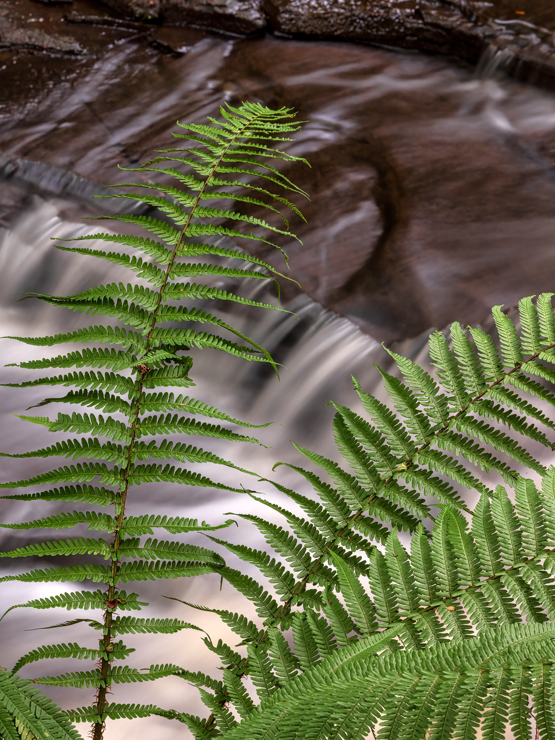 The Glen, Ennistymon, County Clare