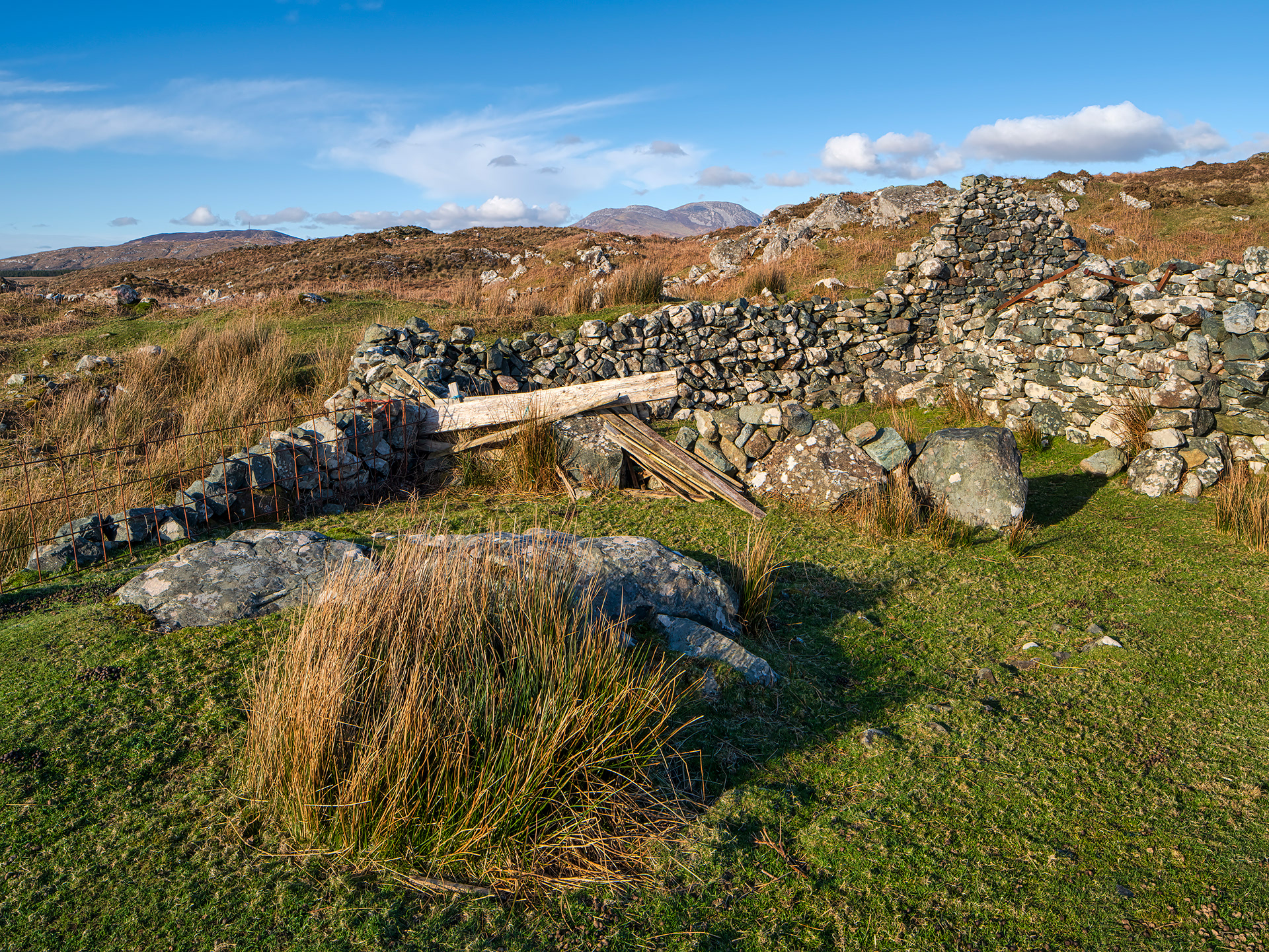 Roundstone Bog, Connemara